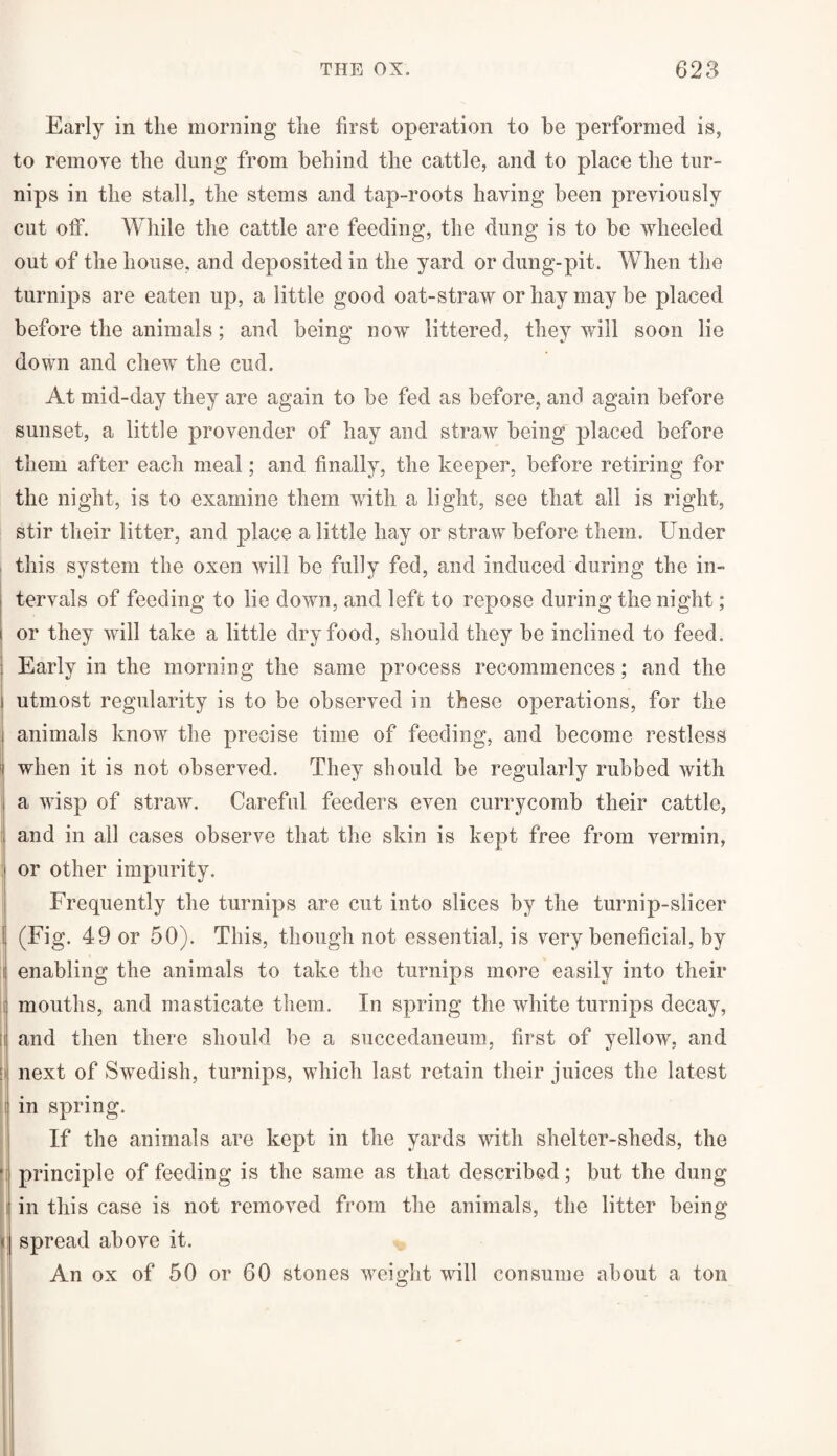 Early in the morning the first operation to be performed is, to remove the dung from behind the cattle, and to place the tur¬ nips in the stall, the stems and tap-roots having been previously cut off. While the cattle are feeding, the dung is to be wheeled out of the house, and deposited in the yard or dung-pit. When the turnips are eaten up, a little good oat-straw or hay may be placed before the animals; and being now littered, they will soon lie down and chew the cud. At mid-day they are again to be fed as before, and again before sunset, a little provender of hay and straw being placed before them after each meal; and finally, the keeper, before retiring for the night, is to examine them with a light, see that all is right, stir their litter, and place a little hay or straw before them. Under this system the oxen will be fully fed, and induced during the in¬ tervals of feeding to lie down, and left to repose during the night; or they will take a little dry food, should they be inclined to feed. Early in the morning the same process recommences; and the utmost regularity is to be observed in these operations, for the animals know the precise time of feeding, and become restless when it is not observed. They should be regularly rubbed with a wisp of straw. Careful feeders even currycomb their cattle, and in all cases observe that the skin is kept free from vermin, or other impurity. Frequently the turnips are cut into slices by the turnip-slicer (Fig. 49 or 50). This, though not essential, is very beneficial, by enabling the animals to take the turnips more easily into their mouths, and masticate them. In spring the white turnips decay, and then there should be a succedaneum, first of yellow, and next of Swedish, turnips, which last retain their juices the latest in spring. If the animals are kept in the yards with shelter-sheds, the principle of feeding is the same as that described; but the dung in this case is not removed from the animals, the litter being spread above it. An ox of 50 or 60 stones weight will consume about a ton