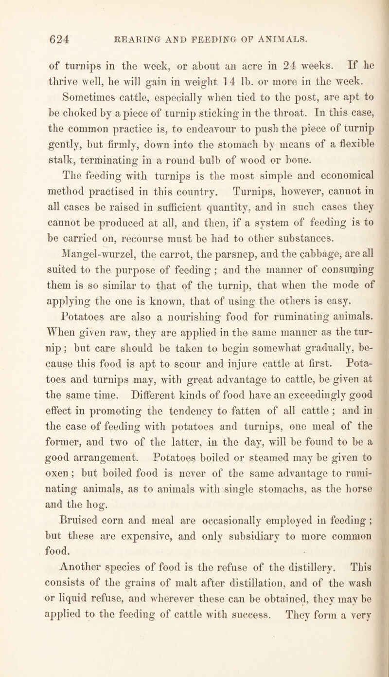 of turnips in the week, or about an acre in 24 weeks. If he thrive well, he will gain in weight 14 lb. or more in the week. Sometimes cattle, especially when tied to the post, are apt to be choked by a piece of turnip sticking in the throat. In this case, the common practice is, to endeavour to push the piece of turnip gently, but firmly, down into the stomach by means of a flexible stalk, terminating in a round bulb of wood or bone. The feeding with turnips is the most simple and economical method practised in this country. Turnips, however, cannot in all cases be raised in sufficient quantity, and in such cases they cannot be produced at all, and then, if a system of feeding is to be carried on, recourse must be had to other substances. Mangel-wurzel, the carrot, the parsnep, and the cabbage, are all suited to the purpose of feeding ; and the manner of consuming them is so similar to that of the turnip, that when the mode of applying the one is known, that of using the others is easy. Potatoes are also a nourishing food for ruminating animals. When given raw, they are applied in the same manner as the tur¬ nip ; but care should be taken to begin somewhat gradually, be¬ cause this food is apt to scour and injure cattle at first. Pota¬ toes and turnips may, with great advantage to cattle, be given at the same time. Different kinds of food have an exceedingly good effect in promoting the tendency to fatten of all cattle ; and in the case of feeding with potatoes and turnips, one meal of the former, and two of the latter, in the day, will be found to be a good arrangement. Potatoes boiled or steamed may be given to oxen; but boiled food is never of the same advantage to rumi¬ nating animals, as to animals with single stomachs, as the horse and the hog. Bruised corn and meal are occasionally employed in feeding ; but these are expensive, and only subsidiary to more common food. Another species of food is the refuse of the distillery. This consists of the grains of malt after distillation, and of the wash or liquid refuse, and wherever these can be obtained, they may he applied to the feeding of cattle with success. They form a very