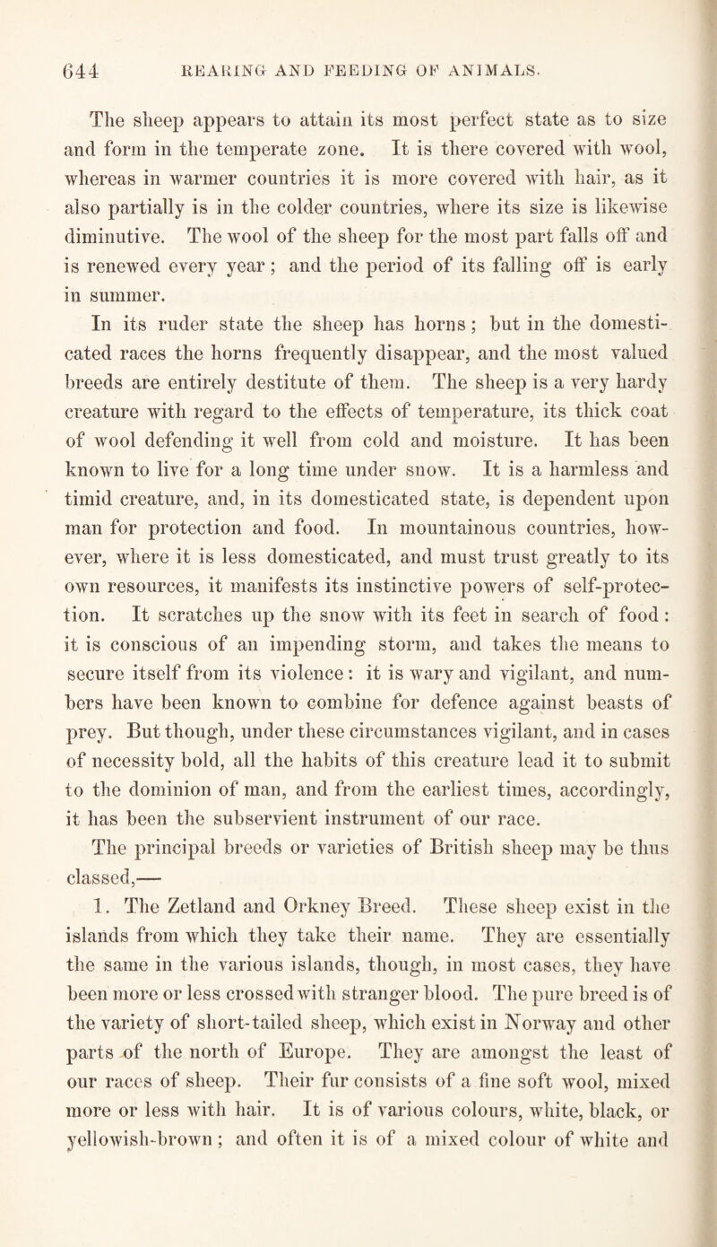 The sheep appears to attain its most perfect state as to size and form in the temperate zone. It is there covered with wool, whereas in warmer countries it is more covered with hair, as it also partially is in the colder countries, where its size is likewise diminutive. The wool of the sheep for the most part falls off and is renewed every year; and the period of its falling off is early in summer. In its ruder state the sheep has horns; but in the domesti¬ cated races the horns frequently disappear, and the most valued breeds are entirely destitute of them. The sheep is a very hardy creature with regard to the effects of temperature, its thick coat of wool defending it well from cold and moisture. It has been known to live for a long time under snow. It is a harmless and timid creature, and, in its domesticated state, is dependent upon man for protection and food. In mountainous countries, how¬ ever, where it is less domesticated, and must trust greatly to its own resources, it manifests its instinctive powers of self-protec¬ tion. It scratches up the snow with its feet in search of food : it is conscious of an impending storm, and takes the means to secure itself from its violence : it is wary and vigilant, and num¬ bers have been known to combine for defence against beasts of prey. But though, under these circumstances vigilant, and in cases of necessity bold, all the habits of this creature lead it to submit to the dominion of man, and from the earliest times, accordingly, if has been the subservient instrument of our race. The principal breeds or varieties of British sheep may be thus classed,— 1. The Zetland and Orkney Breed. These sheep exist in the islands from which they take their name. They are essentially the same in the various islands, though, in most cases, they have been more or less crossed with stranger blood. The pure breed is of the variety of short-tailed sheep, which exist in Norway and other parts of the north of Europe. They are amongst the least of our races of sheep. Their fur consists of a fine soft wool, mixed more or less with hair. It is of various colours, white, black, or yellowish-brown; and often it is of a mixed colour of white and