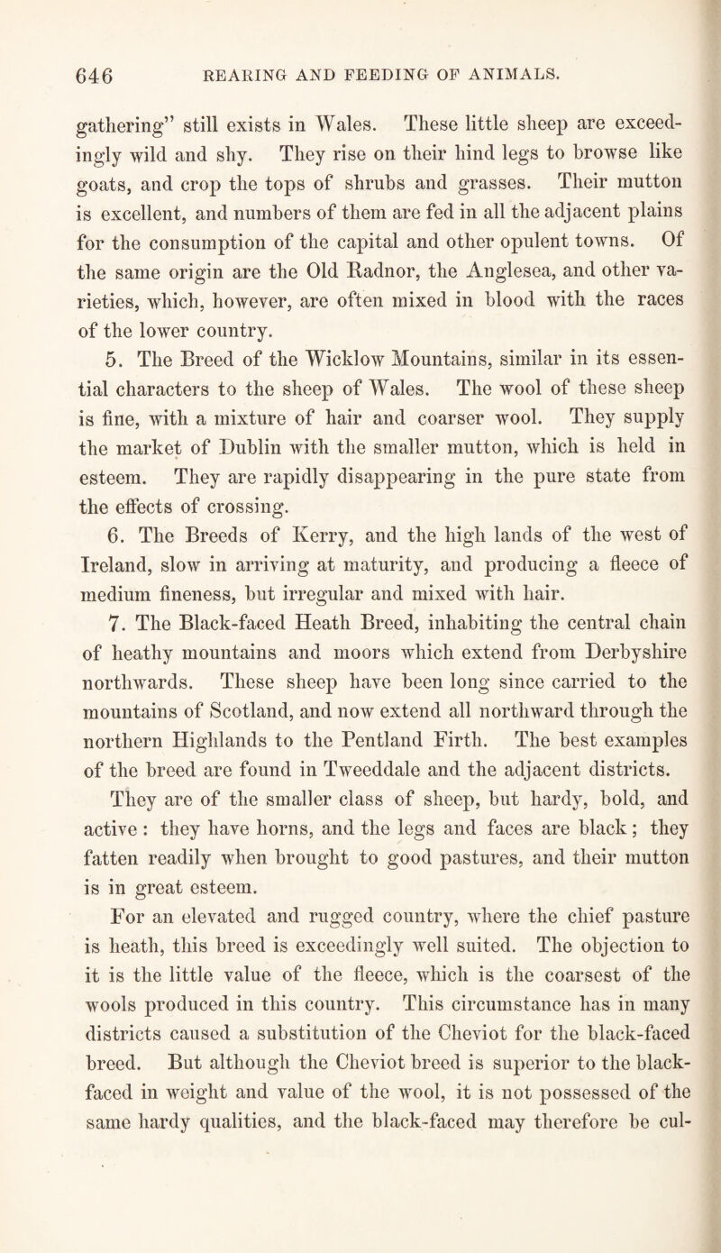 gathering” still exists in Wales. These little sheep are exceed¬ ingly wild and shy. They rise on their hind legs to browse like goats, and crop the tops of shrubs and grasses. Their mutton is excellent, and numbers of them are fed in all the adjacent plains for the consumption of the capital and other opulent towns. Of the same origin are the Old Radnor, the Anglesea, and other va¬ rieties, which, however, are often mixed in blood with the races of the lower country. 5. The Breed of the Wicklow Mountains, similar in its essen¬ tial characters to the sheep of Wales. The wool of these sheep is fine, with a mixture of hair and coarser wool. They supply the market of Dublin with the smaller mutton, which is held in esteem. They are rapidly disappearing in the pure state from the effects of crossing. 6. The Breeds of Kerry, and the high lands of the west of Ireland, slow in arriving at maturity, and producing a fleece of medium fineness, but irregular and mixed with hair. 7. The Black-faced Heath Breed, inhabiting the central chain of heathy mountains and moors which extend from Derbyshire northwards. These sheep have been long since carried to the mountains of Scotland, and now extend all northward through the northern Highlands to the Pentland Firth. The best examples of the breed are found in Tweeddale and the adjacent districts. They are of the smaller class of sheep, but hardy, bold, and active : they have horns, and the legs and faces are black; they fatten readily when brought to good pastures, and their mutton is in great esteem. For an elevated and rugged country, where the chief pasture is heath, this breed is exceedingly well suited. The objection to it is the little value of the fleece, which is the coarsest of the wools produced in this country. This circumstance has in many districts caused a substitution of the Cheviot for the black-faced breed. But although the Cheviot breed is superior to the black¬ faced in weight and value of the wool, it is not possessed of the same hardy qualities, and the black-faced may therefore be cul-