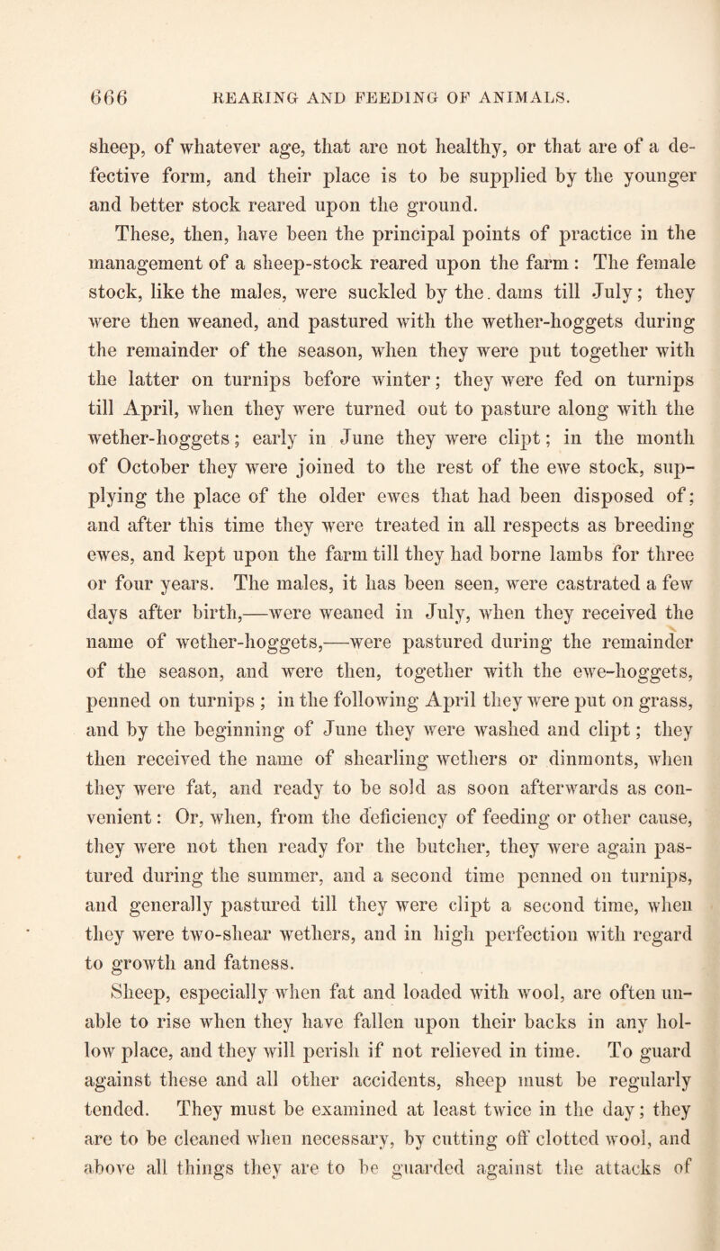 sheep, of whatever age, that are not healthy, or that are of a de¬ fective form, and their place is to be supplied by the younger and better stock reared upon the ground. These, then, have been the principal points of practice in the management of a sheep-stock reared upon the farm : The female stock, like the males, were suckled by the. dams till July; they were then weaned, and pastured with the wether-hoggets during the remainder of the season, when they were put together with the latter on turnips before winter; they were fed on turnips till April, when they were turned out to pasture along with the wether-hoggets; early in June they were dipt; in the month of October they were joined to the rest of the ewe stock, sup¬ plying the place of the older ewes that had been disposed of; and after this time they were treated in all respects as breeding ewes, and kept upon the farm till they had borne lambs for three or four years. The males, it has been seen, were castrated a few days after birth,—were weaned in July, when they received the name of wether-hoggets,—were pastured during the remainder of the season, and were then, together with the ewe-hoggets, penned on turnips ; in the following April they were put on grass, and by the beginning of June they were washed and dipt; they then received the name of shearling wethers or dinmonts, when they were fat, and ready to be sold as soon afterwards as con¬ venient : Or, when, from the deficiency of feeding or other cause, they w7ere not then ready for the butcher, they Avere again pas¬ tured during the summer, and a second time penned on turnips, and generally pastured till they were dipt a second time, when they were two-sliear wethers, and in high perfection with regard to growth and fatness. Sheep, especially when fat and loaded with wool, are often un¬ able to rise when they have fallen upon their backs in any hol¬ low place, and they will perish if not relieved in time. To guard against these and all other accidents, sheep must be regularly tended. They must be examined at least twice in the day; they are to be cleaned when necessary, by cutting off clotted wool, and above all things they are to be guarded against the attacks of