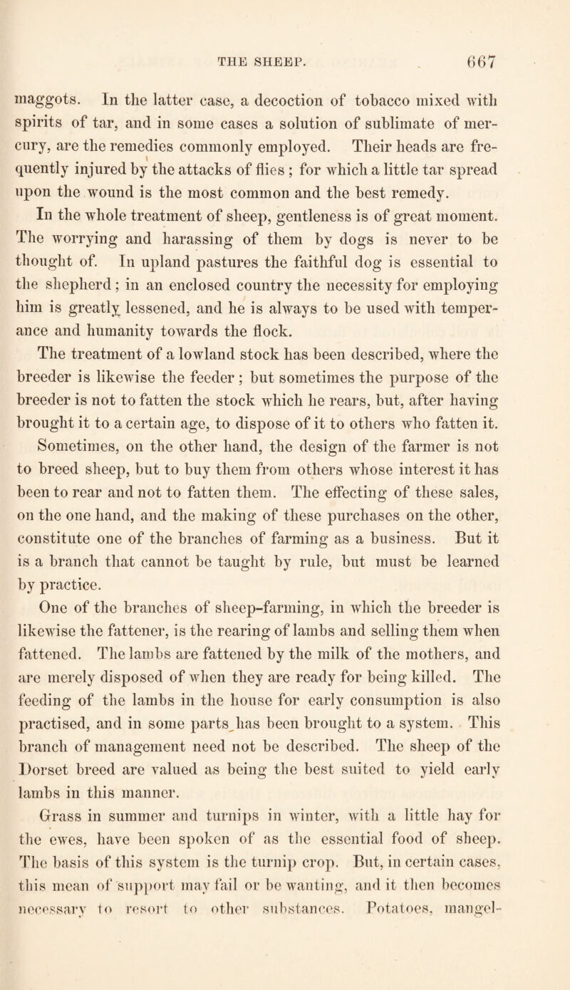 maggots. In the latter case, a decoction of tobacco mixed with spirits of tar, and in some cases a solution of sublimate of mer¬ cury, are the remedies commonly employed. Their heads are fre¬ quently injured by the attacks of flies ; for which a little tar spread upon the wound is the most common and the best remedy. In the whole treatment of sheep, gentleness is of great moment. The worrying and harassing of them by dogs is never to be thought of. In upland pastures the faithful dog is essential to the shepherd ; in an enclosed country the necessity for employing him is greatly lessened, and he is always to be used with temper¬ ance and humanity towards the flock. The treatment of a lowland stock has been described, where the breeder is likewise the feeder ; but sometimes the purpose of the breeder is not to fatten the stock which he rears, but, after having brought it to a certain age, to dispose of it to others who fatten it. Sometimes, on the other hand, the design of the farmer is not to breed sheep, but to buy them from others whose interest it has been to rear and not to fatten them. The effecting of these sales, on the one hand, and the making of these purchases on the other, constitute one of the branches of farming as a business. But it is a branch that cannot be taught by rule, but must be learned by practice. One of the branches of sheep-fanning, in which the breeder is likewise the fattener, is the rearing of lambs and selling them when fattened. The lambs are fattened by the milk of the mothers, and are merely disposed of when they are ready for being killed. The feeding of the lambs in the house for early consumption is also practised, and in some parts has been brought to a system. This branch of management need not be described. The sheep of the Dorset breed are valued as being the best suited to yield early lambs in this manner. Grass in summer and turnips in winter, with a little hay for the ewes, have been spoken of as the essential food of sheep. The basis of this system is the turnip crop. But, in certain cases, this mean of support may fail or be wanting, audit then becomes necessary to resort to other substances. Potatoes, mangel-