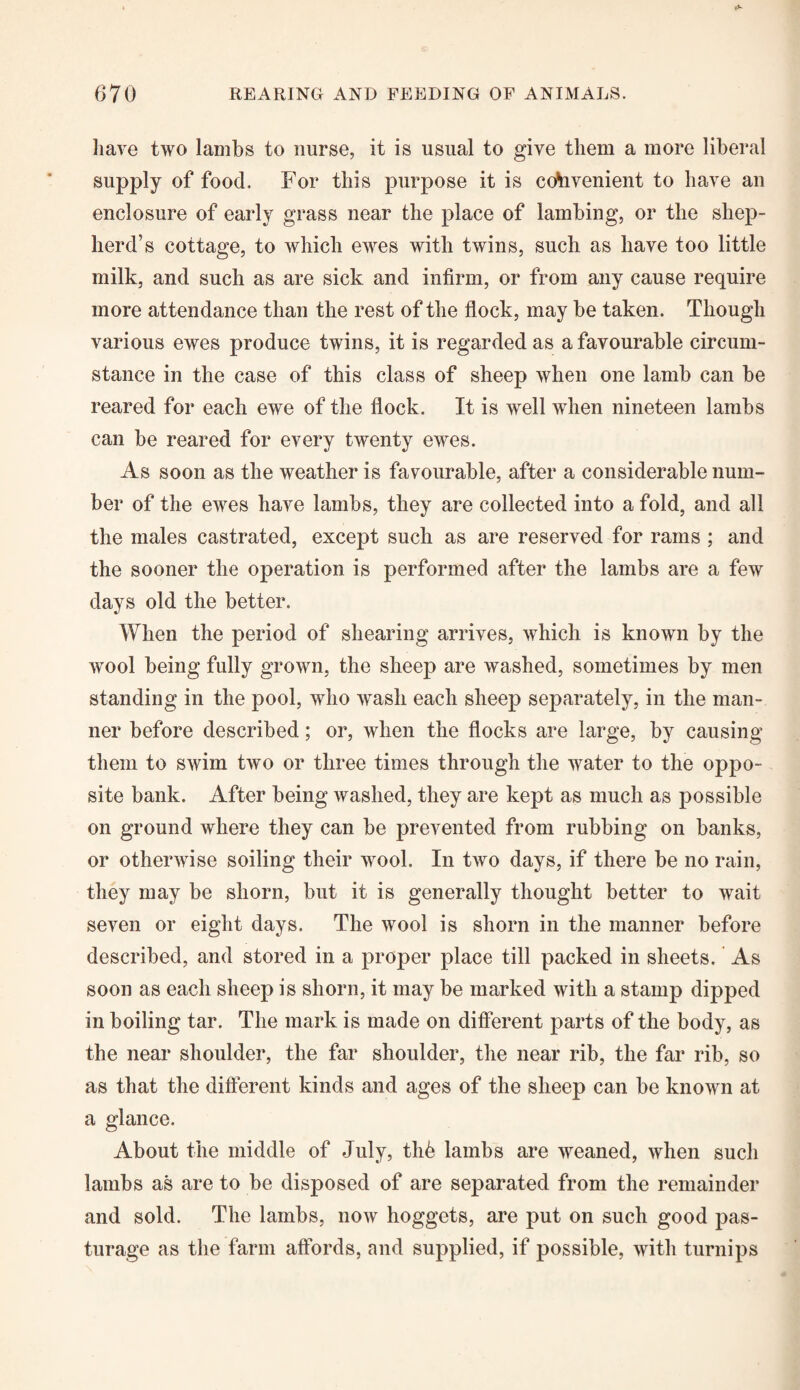 have two lambs to nurse, it is usual to give them a more liberal supply of food. For this purpose it is convenient to have an enclosure of early grass near the place of lambing, or the shep¬ herd’s cottage, to which ewes with twins, such as have too little milk, and such as are sick and infirm, or from any cause require more attendance than the rest of the flock, may be taken. Though various ewes produce twins, it is regarded as a favourable circum¬ stance in the case of this class of sheep when one lamb can be reared for each ewe of the flock. It is well when nineteen lambs can be reared for every twenty ewes. As soon as the weather is favourable, after a considerable num¬ ber of the ewes have lambs, they are collected into a fold, and all the males castrated, except such as are reserved for rams ; and the sooner the operation is performed after the lambs are a few days old the better. When the period of shearing arrives, which is known by the wool being fully grown, the sheep are washed, sometimes by men standing in the pool, who wash each sheep separately, in the man¬ ner before described; or, when the flocks are large, by causing them to swim two or three times through the water to the oppo¬ site bank. After being washed, they are kept as much as possible on ground where they can be prevented from rubbing on banks, or otherwise soiling their wool. In two days, if there be no rain, they may be shorn, but it is generally thought better to wait seven or eight days. The wool is shorn in the manner before described, and stored in a proper place till packed in sheets. As soon as each sheep is shorn, it may be marked with a stamp dipped in boiling tar. The mark is made on different parts of the body, as the near shoulder, the far shoulder, the near rib, the far rib, so as that the different kinds and ages of the sheep can be known at a glance. About the middle of July, thb lambs are weaned, when such lambs as are to be disposed of are separated from the remainder and sold. The lambs, now hoggets, are put on such good pas¬ turage as the farm affords, and supplied, if possible, with turnips