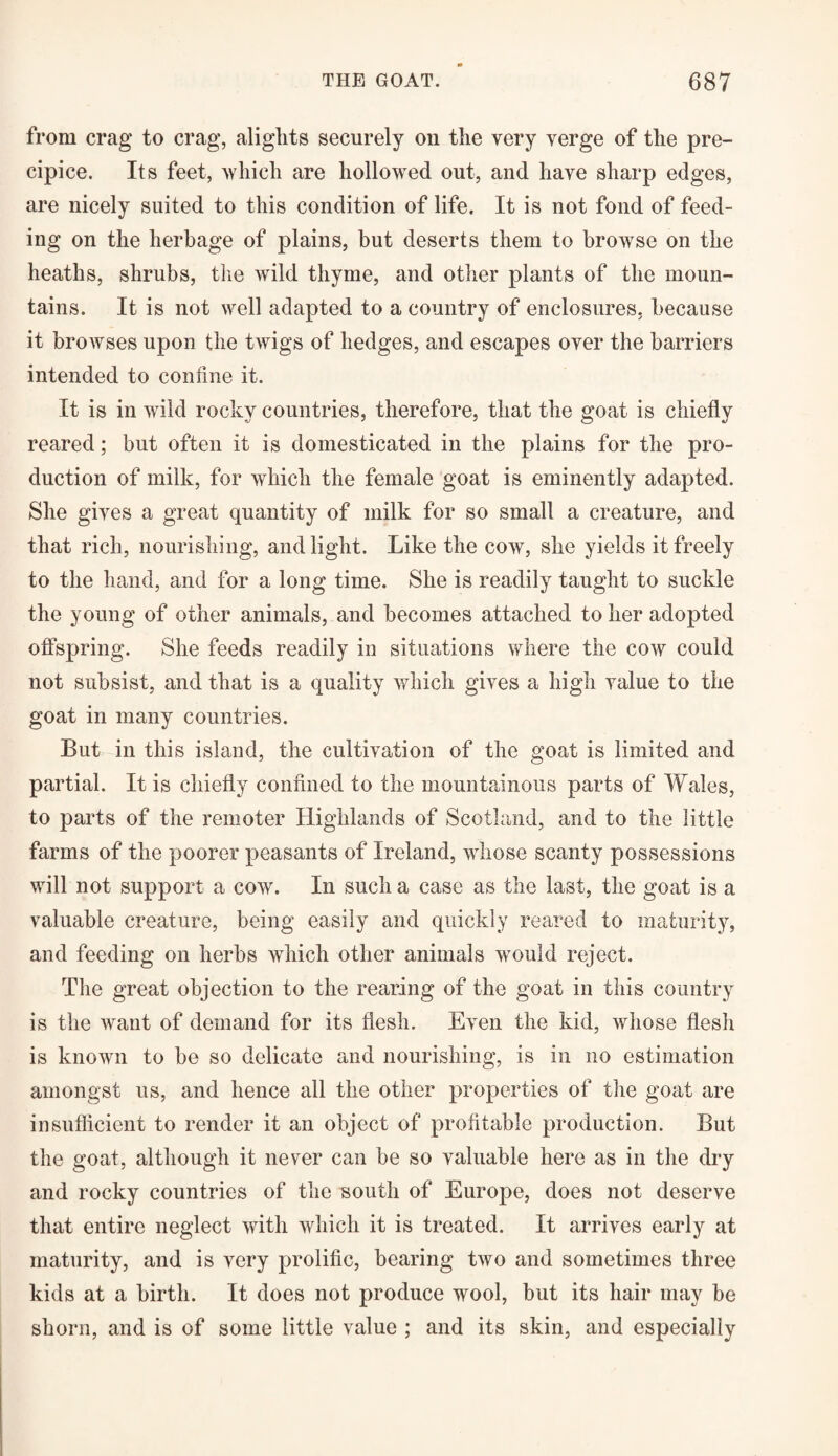 from crag to crag, alights securely on the very verge of the pre¬ cipice. Its feet, which are hollowed out, and have sharp edges, are nicely suited to this condition of life. It is not fond of feed¬ ing on the herbage of plains, but deserts them to browse on the heaths, shrubs, the wild thyme, and other plants of the moun¬ tains. It is not well adapted to a country of enclosures, because it browses upon the twigs of hedges, and escapes over the barriers intended to confine it. It is in wild rocky countries, therefore, that the goat is chiefly reared; but often it is domesticated in the plains for the pro¬ duction of milk, for which the female goat is eminently adapted. She gives a great quantity of milk for so small a creature, and that rich, nourishing, and light. Like the cow, she yields it freely to the hand, and for a long time. She is readily taught to suckle the young of other animals, and becomes attached to her adopted offspring. She feeds readily in situations where the cow could not subsist, and that is a quality which gives a high value to the goat in many countries. But in this island, the cultivation of the goat is limited and partial. It is chiefly confined to the mountainous parts of Wales, to parts of the remoter Highlands of Scotland, and to the little farms of the poorer peasants of Ireland, vdiose scanty possessions will not support a cow. In such a case as the last, the goat is a valuable creature, being easily and quickly reared to maturity, and feeding on herbs wdiich other animals wrould reject. The great objection to the rearing of the goat in this country is the want of demand for its flesh. Even the kid, wdiose flesh is known to be so delicate and nourishing, is in no estimation amongst us, and hence all the other properties of the goat are insufficient to render it an object of profitable production. But the goat, although it never can be so valuable here as in the dry and rocky countries of the south of Europe, does not deserve that entire neglect with which it is treated. It arrives early at maturity, and is very prolific, bearing two and sometimes three kids at a birth. It does not produce wool, but its hair may be shorn, and is of some little value ; and its skin, and especially