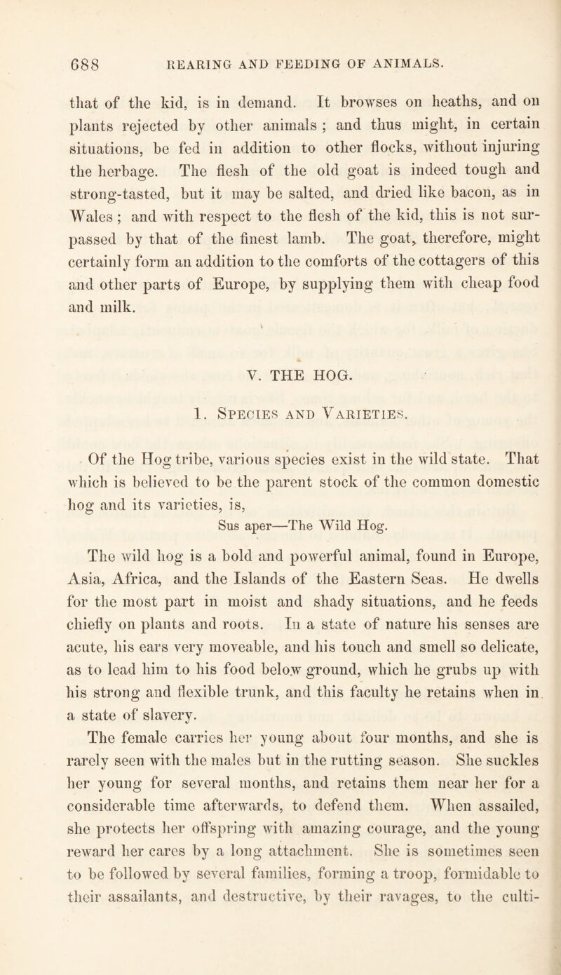 that of the kid, is in demand. It browses on heaths, and on plants rejected by other animals ; and thus might, in certain situations, be fed in addition to other flocks, without injuring the herbage. The flesh of the old goat is indeed tough and strong-tasted, but it may be salted, and dried like bacon, as in Wales; and with respect to the flesh of the kid, this is not sur¬ passed by that of the finest lamb. The goat* therefore, might certainly form an addition to the comforts of the cottagers of this and other parts of Europe, by supplying them with cheap food and milk. V. THE HOG. 1. Species and Varieties. Of the Hog tribe, various species exist in the wild state. That which is believed to be the parent stock of the common domestic hog and its varieties, is, Sus aper—The Wild Hog. The wild hog is a bold and powerful animal, found in Europe, Asia, Africa, and the Islands of the Eastern Seas. He dwells for the most part in moist and shady situations, and he feeds chiefly on plants and roots. In a state of nature his senses are acute, his ears very moveable, and his touch and smell so delicate, as to lead him to his food below ground, which he grubs up with his strong and flexible trunk, and this faculty he retains when in a state of slavery. The female carries her young about four months, and she is rarely seen with the males but in the rutting season. She suckles her young for several months, and retains them near her for a considerable time afterwards, to defend them. When assailed, she protects her offspring with amazing courage, and the young reward her cares by a long attachment. She is sometimes seen to be followed by several families, forming a troop, formidable to their assailants, and destructive, by their ravages, to the culti-