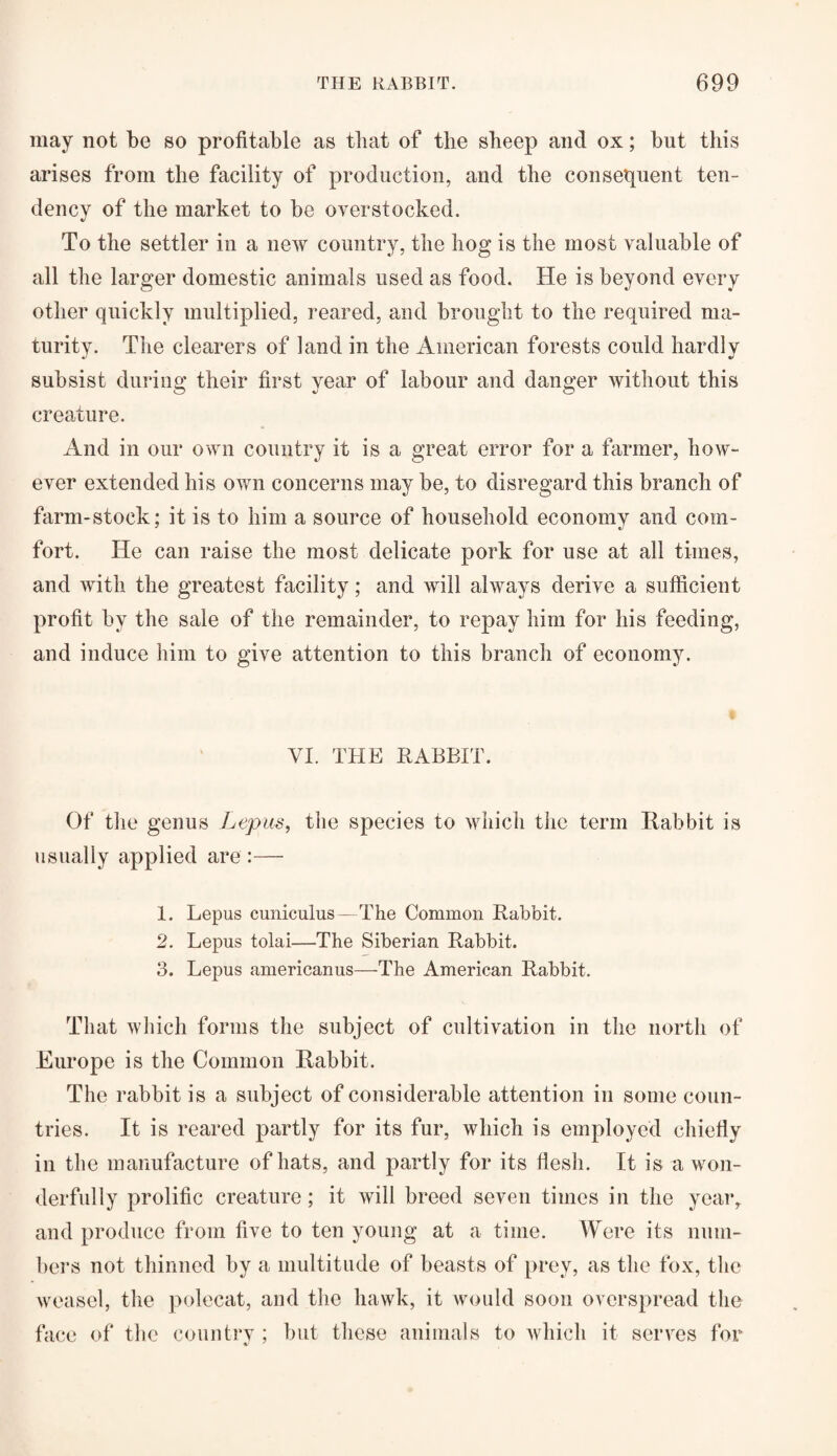 may not be so profitable as that of the sheep and ox; but this arises from the facility of production, and the consequent ten¬ dency of the market to be overstocked. To the settler in a new country, the hog is the most valuable of all the larger domestic animals used as food. He is beyond every other quickly multiplied, reared, and brought to the required ma¬ turity. The clearers of land in the American forests could hardly subsist during their first year of labour and danger without this creature. And in our own country it is a great error for a farmer, how¬ ever extended his own concerns may be, to disregard this branch of farm-stock; it is to him a source of household economy and com¬ fort. He can raise the most delicate pork for use at all times, and with the greatest facility; and will always derive a sufficient profit by the sale of the remainder, to repay him for his feeding, and induce him to give attention to this branch of economy. VI. THE RABBIT. Of the genus Lepus, the species to which the term Rabbit is usually applied are :— 1. Lepus cuniculus—The Common Rabbit. 2. Lepus tolai—The Siberian Rabbit. 3. Lepus americanus—The American Rabbit. That which forms the subject of cultivation in the north of Europe is the Common Rabbit. The rabbit is a subject of considerable attention in some coun¬ tries. It is reared partly for its fur, which is employed chiefly in the manufacture of hats, and partly for its flesh. It is a won¬ derfully prolific creature; it will breed seven times in the year, and produce from five to ten young at a time. Were its num¬ bers not thinned by a multitude of beasts of prey, as the fox, the weasel, the polecat, and the hawk, it would soon overspread the face of the country ; but these animals to which it serves for