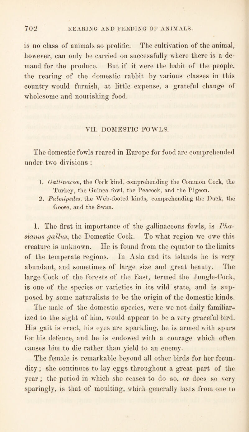 is no class of animals so prolific. The cultivation of the animal, however, can only be carried on successfully where there is a de¬ mand for the produce. But if it were the habit of the people, the rearing of the domestic rabbit by various classes in this country would furnish, at little expense, a grateful change of wholesome and nourishing food. VII. DOMESTIC FOWLS. The domestic fowls reared in Europe for food are comprehended under two divisions : 1. Gallinacece, the Cock kind, comprehending the Common Cock, the Turkey, the Guinea-fowl, the Peacock, and the Pigeon. 2. Palmipedes, the Web-footed kinds, comprehending the Duck, the Goose, and the Swan. 1. The first in importance of the gallinaceous fowls, is Pha- sianus gallus, the Domestic Cock. To what region we owe this creature is unknown. He is found from the equator to the limits of the temperate regions. In Asia and its islands he is very abundant, and sometimes of large size and great beauty. The large Cock of the forests of the East, termed the Jungle-Cock, is one of the species or varieties in its wild state, and is sup¬ posed by some naturalists to be the origin of the domestic kinds. The male of the domestic species, were we not daily familiar¬ ized to the sight of him, would appear to be a very graceful bird. His gait is erect, his eyes are sparkling, he is armed with spurs for his defence, and he is endowed with a courage which often causes him to die rather than yield to an enemy. The female is remarkable beyond all other birds for her fecun¬ dity ; she continues to lay eggs throughout a great part of the year; the period in which she ceases to do so, or does so very sparingly, is that of moulting, which generally lasts from one to