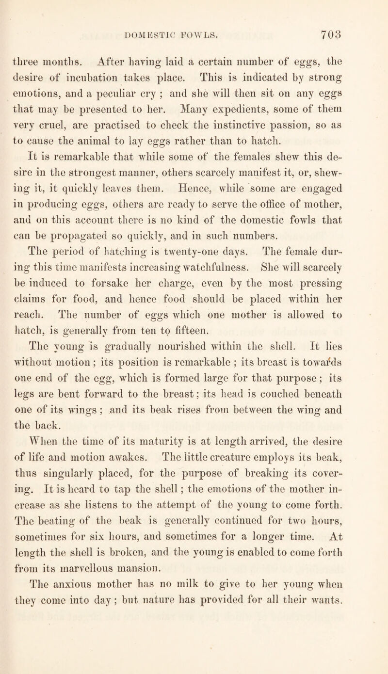thl •ee months. After haying laid a certain number of eggs, the desire of incubation takes place. This is indicated by strong emotions, and a peculiar cry ; and she will then sit on any eggs that may be presented to her. Many expedients, some of them very cruel, are practised to check the instinctive passion, so as to cause the animal to lay eggs rather than to hatch. It is remarkable that while some of the females shew this de¬ sire in the strongest manner, others scarcely manifest it, or, shew¬ ing it, it quickly leaves them. Hence, while some are engaged in producing eggs, others are ready to serve the office of mother, and on this account there is no kind of the domestic fowls that can be propagated so quickly, and in such numbers. The period of hatching is twenty-one days. The female dur¬ ing this time manifests increasing watchfulness. She will scarcely be induced to forsake her charge, even by the most pressing claims for food, and hence food should be placed within her reach. The number of eggs which one mother is allowed to hatch, is generally from ten to fifteen. The young is gradually nourished within the shell. It lies without motion ; its position is remarkable ; its breast is towards one end of the egg, which is formed large for that purpose; its legs are bent forward to the breast; its head is couched beneath one of its wings; and its beak rises from between the wing and the back. When the time of its maturity is at length arrived, the desire of life and motion awakes. The little creature employs its beak, thus singularly placed, for the purpose of breaking its cover¬ ing. It is heard to tap the shell; the emotions of the mother in¬ crease as she listens to the attempt of the young to come forth. The beating of the beak is generally continued for two hours, sometimes for six hours, and sometimes for a longer time. At length the shell is broken, and the young is enabled to come forth from its marvellous mansion. The anxious mother has no milk to give to her young when they come into day; but nature has provided for all their wants.