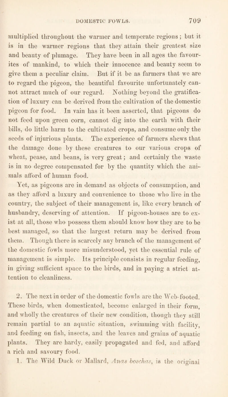 multiplied throughout the warmer and temperate regions; but it is in the warmer regions that they attain their greatest size and beauty of plumage. They have been in all ages the favour¬ ites of mankind, to which their innocence and beauty seem to give them a peculiar claim. But if it be as farmers that we are to regard the pigeon, the beautiful favourite unfortunately can¬ not attract much of our regard. Nothing beyond the gratifica¬ tion of luxury can be derived from the cultivation of the domestic pigeon for food. In vain has it been asserted, that pigeons do not feed upon green corn, cannot dig into the earth with their bills, do little harm to the cultivated crops, and consume only the seeds of injurious plants. The experience of farmers shews that the damage done by these creatures to our various crops of wheat, pease, and beans, is very great; and certainly the waste is in no degree compensated for by the quantity which the ani¬ mals afford of human food. Yet, as pigeons are in demand as objects of consumption, and as they afford a luxury and convenience to those who live in the country, the subject of their management is, like every branch of husbandry, deserving of attention. If pigeon-houses are to ex¬ ist at all, those who possess them should know how they are to be best managed, so that the largest return may be derived from them. Though there is scarcely any branch of the management of the domestic fowls more misunderstood, yet the essential rule of management is simple. Its principle consists in regular feeding, in giving sufficient space to the birds, and in paying a strict at¬ tention to cleanliness. 2. The next in order of the domestic fowls are the Web-footed. These birds, when domesticated, become enlarged in their form, and wholly the creatures of their new condition, though they still remain partial to an aquatic situation, swimming with facility, and feeding on fish, insects, and the leaves and grains of aquatic plants. They are hardy, easily propagated and fed, and afford a rich and savoury food. I. The Wild Duck or Mallard, Anas bosekas, is the original