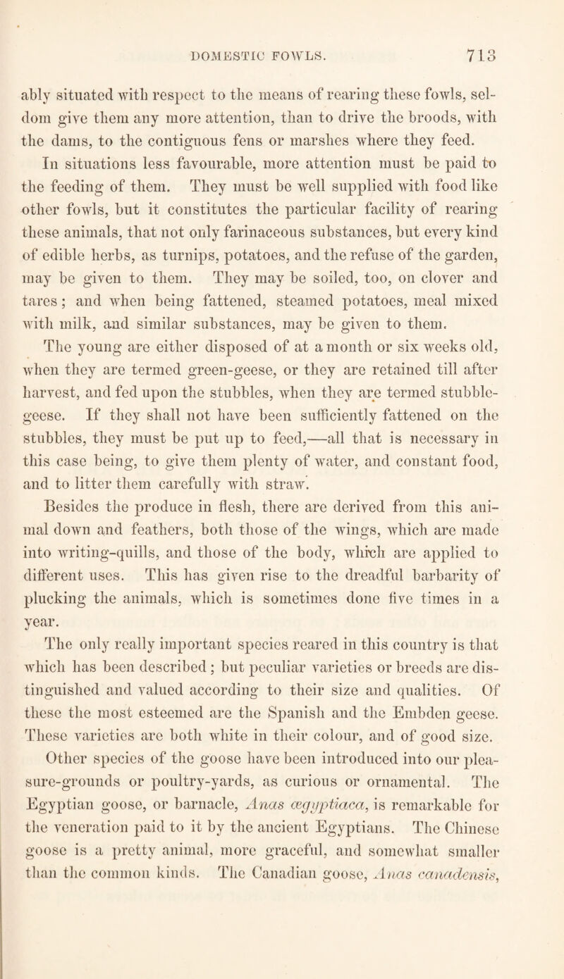 ably situated with respect to the means of rearing these fowls, sel¬ dom give them any more attention, than to drive the broods, with the dams, to the contiguous fens or marshes where they feed. In situations less favourable, more attention must be paid to the feeding of them. They must be well supplied with food like other fowls, but it constitutes the particular facility of rearing these animals, that not only farinaceous substances, but every kind of edible herbs, as turnips, potatoes, and the refuse of the garden, may be given to them. They may be soiled, too, on clover and tares; and when being fattened, steamed potatoes, meal mixed with milk, and similar substances, may be given to them. The young are either disposed of at a month or six weeks old, when they are termed green-geese, or they are retained till after harvest, and fed upon the stubbles, when they are termed stubble- geese. If they shall not have been sufficiently fattened on the stubbles, they must be put up to feed,—all that is necessary in this case being, to give them plenty of water, and constant food, and to litter them carefully with straw. Besides the produce in flesh, there are derived from this ani¬ mal down and feathers, both those of the wings, which are made into writing-quills, and those of the body, which are applied to different uses. This has given rise to the dreadful barbarity of plucking the animals, which is sometimes done five times in a year. The only really important species reared in this country is that which has been described ; but peculiar varieties or breeds are dis¬ tinguished and valued according to their size and qualities. Of these the most esteemed are the Spanish and the Embden geese. These varieties are both white in their colour, and of good size. Other species of the goose have been introduced into our plea¬ sure-grounds or poultry-yards, as curious or ornamental. The Egyptian goose, or barnacle, Anas cegyptiaca, is remarkable for the veneration paid to it by the ancient Egyptians. The Chinese goose is a pretty animal, more graceful, and somewhat smaller than the common kinds. The Canadian goose, Anas canadensis,