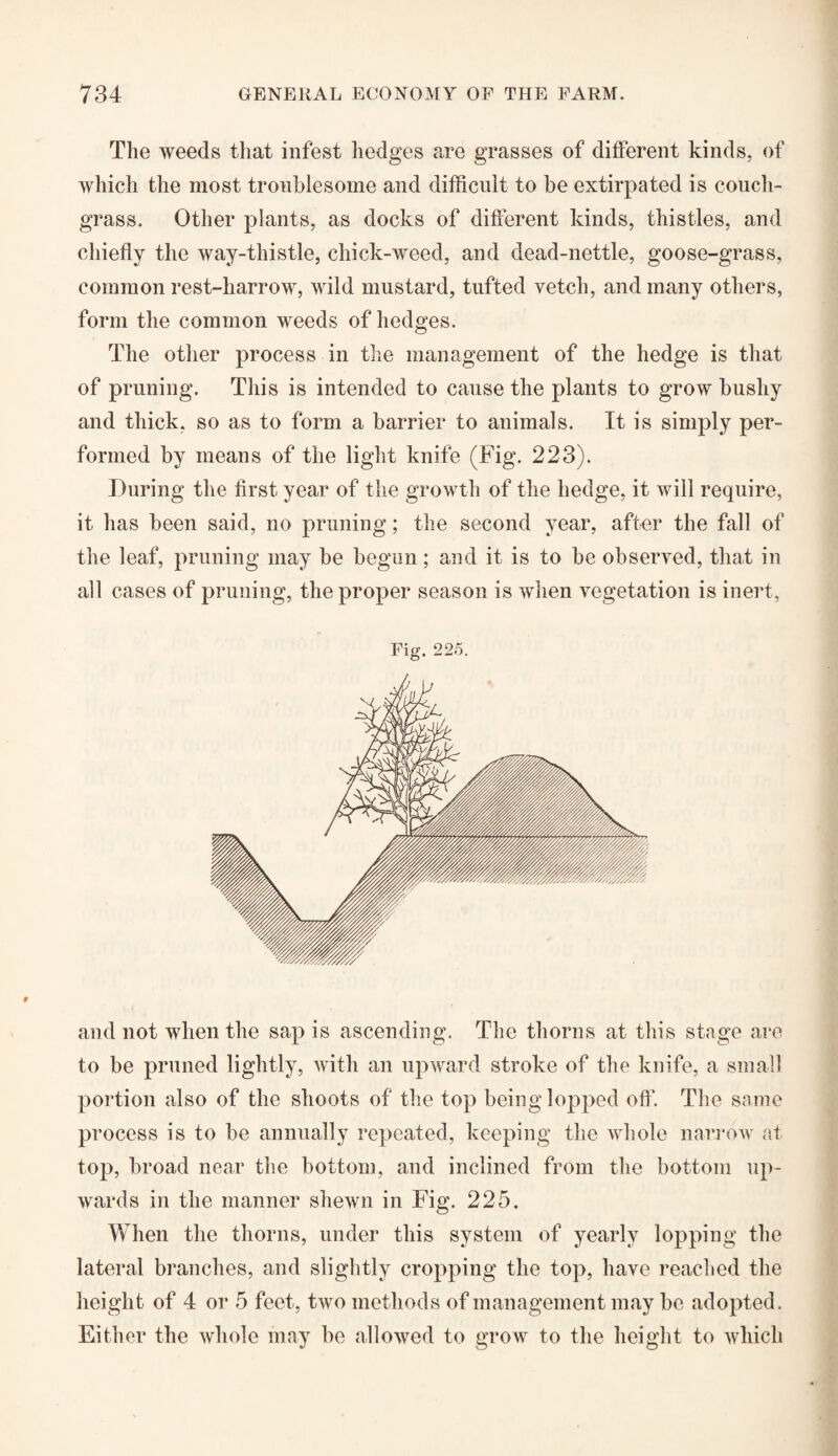 The weeds that infest hedges are grasses of different kinds, of which the most troublesome and difficult to be extirpated is couch- grass. Other plants, as docks of different kinds, thistles, and chiefly the way-thistle, chick-weed, and dead-nettle, goose-grass, common rest-harrow, wild mustard, tufted vetch, and many others, form the common weeds of hedges. The other process in the management of the hedge is that of pruning. This is intended to cause the plants to grow bushy and thick, so as to form a barrier to animals. It is simply per¬ formed by means of the light knife (Fig. 223). During the first year of the growth of the hedge, it will require, it has been said, no pruning; the second year, after the fall of the leaf, pruning may be begun; and it is to be observed, that in all cases of pruning, the proper season is when vegetation is inert, Fig. 225. and not when the sap is ascending. The thorns at this stage are to be pruned lightly, with an upward stroke of the knife, a small portion also of the shoots of the top being lopped off. The same process is to be annually repeated, keeping the whole narrow at top, broad near the bottom, and inclined from the bottom up¬ wards in the manner shewn in Fig. 225. When the thorns, under this system of yearly lopping the lateral branches, and slightly cropping the top, have reached the height of 4 or 5 feet, two methods of management may be adopted. Either the whole may be allowed to grow to the height to which