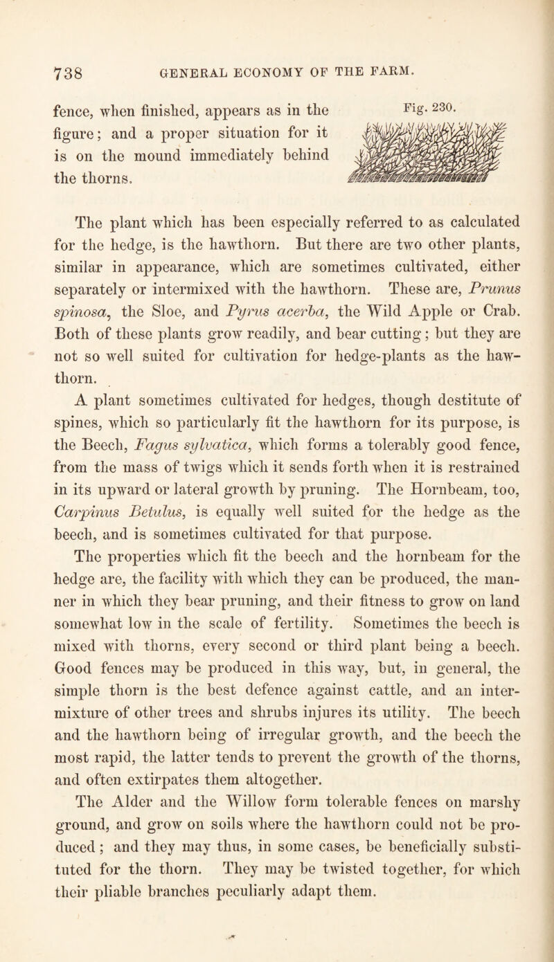 fence, when finished, appears as in the Fl8* 230- figure; and a proper situation for it is on the mound immediately behind the thorns. The plant which has been especially referred to as calculated for the hedge, is the hawthorn. But there are two other plants, similar in appearance, which are sometimes cultivated, either separately or intermixed with the hawthorn. These are, Prunus spinosa, the Sloe, and Pyrus acerba, the Wild Apple or Crab. Both of these plants grow readily, and bear cutting ; but they are not so well suited for cultivation for hedge-plants as the haw¬ thorn. A plant sometimes cultivated for hedges, though destitute of spines, which so particularly fit the hawthorn for its purpose, is the Beech, Fagus sylvatica, which forms a tolerably good fence, from the mass of twigs which it sends forth when it is restrained in its upward or lateral growth by pruning. The Hornbeam, too, Carpinus Betulus, is equally well suited for the hedge as the beech, and is sometimes cultivated for that purpose. The properties which fit the beech and the hornbeam for the hedge are, the facility with which they can be produced, the man¬ ner in which they bear pruning, and their fitness to grow on land somewhat low in the scale of fertility. Sometimes the beech is mixed with thorns, every second or third plant being a beech. Good fences may be produced in this way, but, in general, the simple thorn is the best defence against cattle, and an inter¬ mixture of other trees and shrubs injures its utility. The beech and the hawthorn being of irregular growth, and the beech the most rapid, the latter tends to prevent the growth of the thorns, and often extirpates them altogether. The Alder and the Willow form tolerable fences on marshy ground, and grow on soils where the hawthorn could not be pro¬ duced ; and they may thus, in some cases, be beneficially substi¬ tuted for the thorn. They may be twisted together, for which their pliable branches peculiarly adapt them.