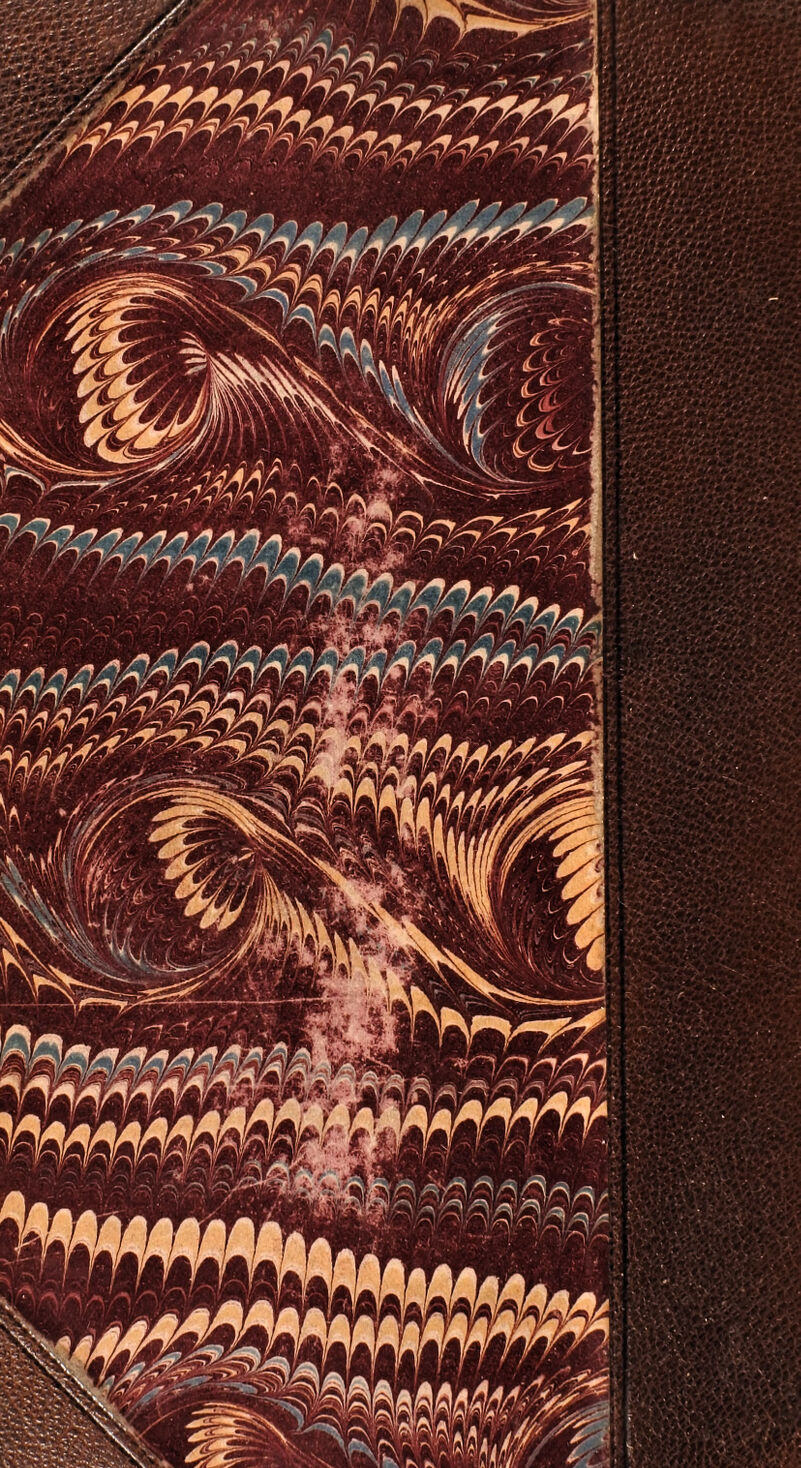 No text description is available for this image