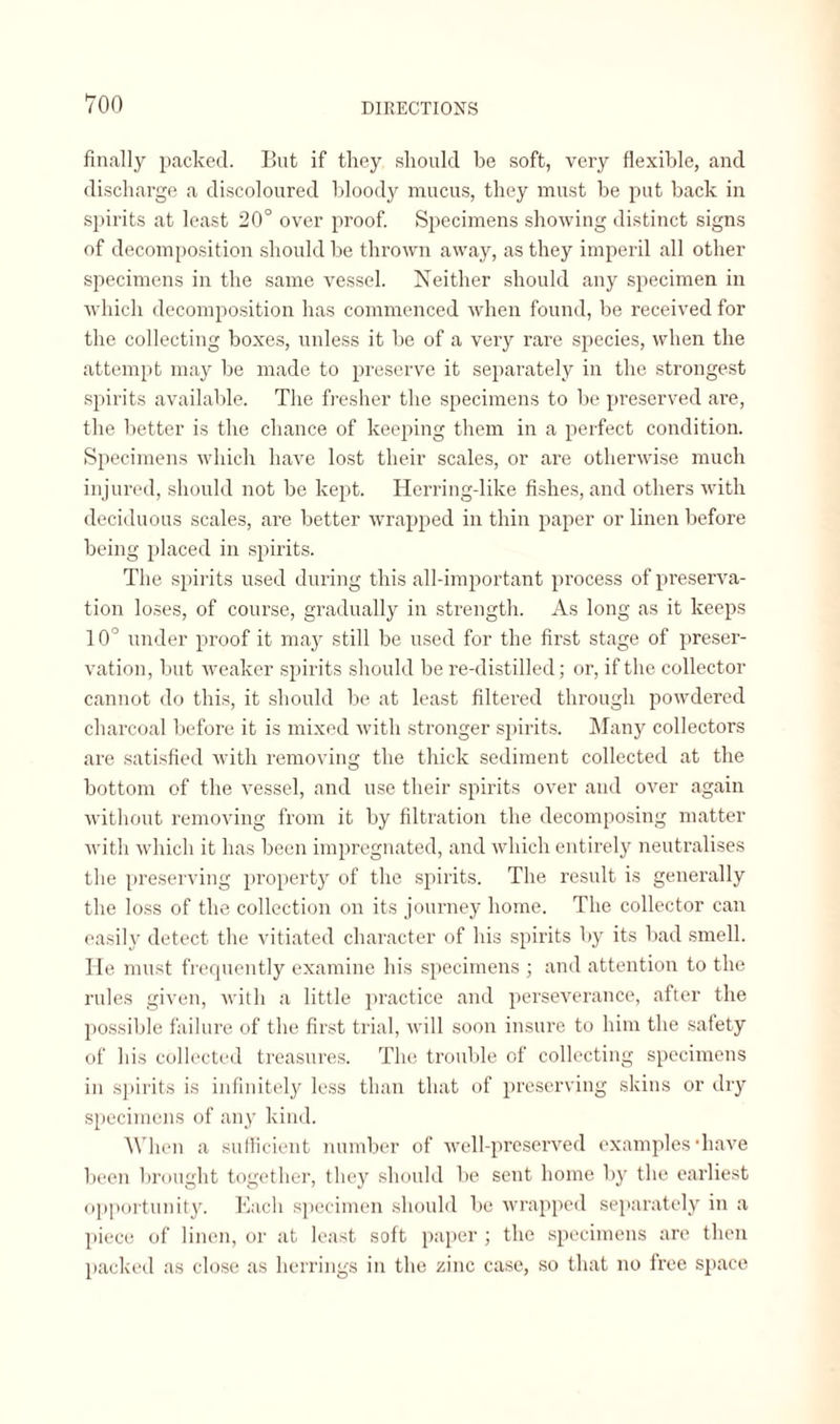 finally packed. But if they should be soft, very flexible, and discharge a discoloured bloody mucus, they must be put back in spirits at least 20° over proof. Specimens showing distinct signs of decomposition should be thrown away, as they imperil all other specimens in the same vessel. Neither should any specimen in which decomposition has commenced when found, be received for the collecting boxes, unless it be of a very rare species, when the attempt may be made to preserve it separately in the strongest spirits available. The fresher the specimens to be preserved are, the better is the chance of keeping them in a perfect condition. Specimens which have lost their scales, or are otherwise much injured, should not be kept. Herring-like fishes, and others with deciduous scales, are better wrapped in thin paper or linen before being placed in spirits. The spirits used during this all-important pi’ocess of preserva¬ tion loses, of course, gradually in strength. As long as it keeps 10° under proof it may still be used for the first stage of preser¬ vation, but weaker spirits should be re-distilled; or, if the collector cannot do this, it should be at least filtered through powdered charcoal before it is mixed with stronger spirits. Many collectors are satisfied with removing the thick sediment collected at the bottom of the vessel, and use their spirits over and over again without removing from it by filtration the decomposing matter with which it has been impregnated, and which entirely neutralises the preserving property of the spirits. The result is generally the loss of the collection on its journey home. The collector can easily detect the vitiated character of his spirits by its bad smell. He must frequently examine his specimens ; and attention to the rules given, with a little practice and perseverance, after the possible failure of the first trial, will soon insure to him the safety of his collected treasures. The trouble of collecting specimens in spirits is infinitely less than that of preserving skins or dry specimens of any kind. When a sufficient number of well-preserved examples‘have been brought together, they should be sent home by the earliest opportunity. Each specimen should be wrapped separately in a piece of linen, or at least soft paper ; the specimens are then packed as close as herrings in the zinc case, so that no tree space