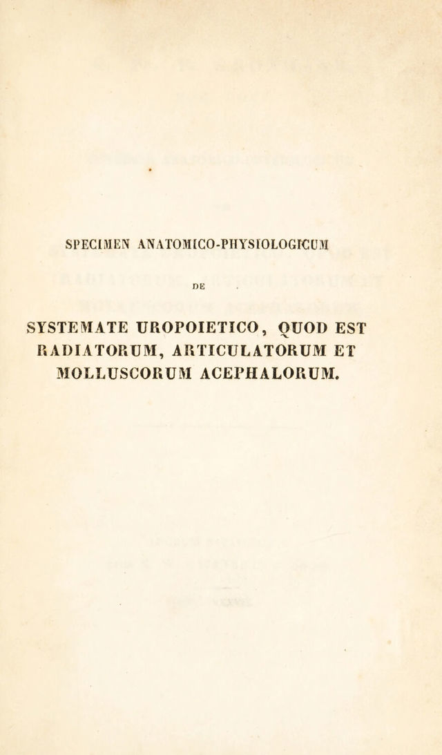 digitised image 3