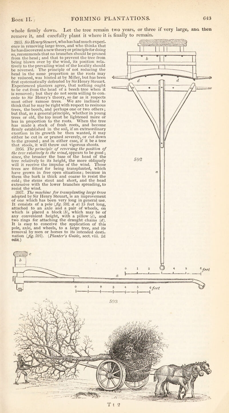 whole firmly down. Let the tree remain two years, or three if very large, ana then remove it, and carefully plant it where it is finally to remain. 3955. Sir Henry Stellar t, who has had much experi- ence in removing large trees, and who thinks that h e has discovered a new th eory or principle for doing so, recommends that no branches should be pruned from the head; and that to prevent the tree from being blown over by the wind, its position rela¬ tively to the prevailing wind of the locality should be reversed. The principle of not reducing the head in the same proportion as the roots may be reduced, was hinted at by Miller, but has been first systematically defended by Sir Henry Steuart, Experienced planters agree, that nothing ought to be cut from the head of a beech tree when it is removed; but they do not seem willing to con- cede to Sir Henry’s theory, so far as it respects most other ramose trees. We are inclined to think that he may he right with respect to resinous trees, the beech, and perhaps one or two others; but that, as a general principle, whether in young trees or old, the top must be lightened more or less in proportion to the roots. When the tree has made a stock of fresh roots, and become firmly established in the soil, if an extraordinary exertion in its growth be then wanted, it may either be cut in or pruned severely, or cut down to the ground ; and in either case, if it be a tree that stools, it will throw out vigorous shoots. 3956. T/ie principle of reversing the position of the tree relatively to the wind, appears to be good; since, the broader the base of the head of the tree relatively to its height, the more obliquely will it receive the impulse of the wind. Those trees are fittest for being transplanted, which have grown in free open situations j because in them the bark is thick and coarse to resist the coldj the stems stout and short, and the head extensive with the lower branches spreading, to resist the wind. 3957. The machine for transplanting large trees adopted by Sir Henry Steuart, is an improvement of one which has been very long in general use. It consists of a pole {fig. 592. a a) 15 feet long, attached to an axle and a pair of wheels, on which is placed a block (6), which may be of any convenient height, with a pillow (c), and two rings for attaching the draught chains {d). It is easy to conceive the application of this pole, axle, and wheels, to a large tree, and its removal by men or horses to its intended desti¬ nation {fig. 593). {Planter's Guide, sect. viii. 2d edit.)