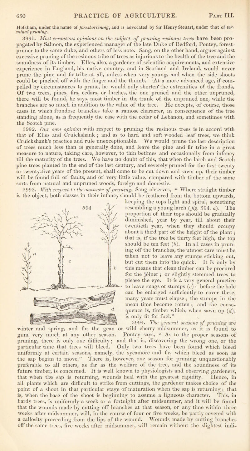 Holkham, under the name of foreshortening^ and is advocated by Sir Henry Steuart, under that of ter¬ minal pruning. 3991. Most erroneous opinions on the subject of pruning resinous trees have been pro¬ pagated by Salmon, the experienced manager of the late Duke of Bedford, Pontey, forest- pruner to the same duke, and others of less note. Sang, on the other hand, argues against excessive pruning of the resinous tribe of trees as injurious to the health of the tree and the soundness of its timber. Elies, also, a gardener of scientific acquirements, and extensive experience in England, his native country, and in Scotland and Ireland, would never prune the pine and fir tribe at all, unless when very young, and when the side shoots could be pinched off’ with the finger and the thumb. At a more advanced age, if com¬ pelled by circumstances to prune, he would only shorten* the extremities of the fronds. Of two trees, pines, firs, cedars, or larch.es, the one pruned and the other unpruned, there will be found, he says, most timber in the trunk of the unpruned one, while the branches are so much in addition to the value of the tree. He excepts, of course, those cases in which frondose branches take a ramose character, in consequence of the tree standing alone, as is frequently the case with the cedar of Lebanon, and sometimes with the Scotch pine. 3992. Our ovon opinion with respect to pruning the resinous trees is in accord with that of Elies and Cruickshank ; and as to hard and soft wooded leaf trees, we think Cruickshank’s practice and rule unexceptionable. We would prune the last description of trees much less than is generally done, and leave the pine and fir tribe in a great measure to nature, taking care, however, to thin betimes and occasionally from infancy till the maturity of the trees. We have no doubt of tliis, that when the larch and Scotch pine trees planted in the end of the last century, and severely pruned for the first twenty or twenty-five years of the present, shall come to be cut down and sawn up, their timber will be found full of faults, and of very little value, compared with timber of the same sorts from natural and unpruned woods, foreign and domestic. 3993. With respect to the manner of pruning, Sang observes, ‘‘ Where straight timber is the object, both classes in their infancy should be feathered from the bottom upwards, keeping the tops light and spiral, something resembling a young larch {fig. 594. a). The proportion of their tops should be gradually diminished, year by year, till about their twentieth year, when they should occupy about a third part of the height of the plant; that is, if the tree be thirty feet high, the top should be ten feet (5). In all cases in prun¬ ing off the branches, the utmost care must be taken not to leave any stumps sticking out, but cut them into the quick. It i*s only by this means that clean timber can be procured for the joiner ; or slightly stemmed trees to please the eye. It is a very general practice ' to leave snags or stumps (c) ; before the bole can be enlarged sufficiently to cover these, many years must elapse; the stumps in the mean time become rotten ; and the conse¬ quence is, timber which, when sawn up (ff), is only fit for fuel.” 3994. The general seasons of pruning are winter and spring, and for the gean or wild cherry midsummer, as it is found to gum very much at any other season. Pontey says, “ As to the proper seasons of pruning, there is only one difficulty; and that is, discovering the wrong one, or the particular time that trees w ill bleed. Only tw o trees have been found w hich bleed uniformly at certain seasons, namely, the sycamore and fir, which bleed as soon as the sap begins to move.” There is, however, one season for pruning unquestionably preferable to all others, as far as the w^elfare of the tree, and the soundness of its future timber, is concerned. It is well known to physiologists and observing gardeners, that when the sap is returning, wounds heal wfith the greatest rapidity. Hence, in all plants which are difficult to strike from cuttings, the gardener makes choice of the point of a shoot in that particular stage of maturation wdien the sap is returning; that is, when the base of the shoot is beginning to assume a ligneous character. This, in hardy trees, is uniformly a week or a fortnight after midsummer, and it will be found that the wounds made by cutting off braiiches at that season, or any time within three weeks after midsummer, will, in the course of four or five weeks, be partly covci'cd w ith a callosity proceeding from the lips of the wound. Wounds made by cutting branches off the same trees, five wrecks after midsummer, will remain w ithout the slightest indi-