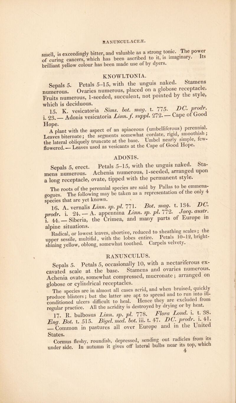 smell, is exceedingly bitter, and valuable as a strong tonic. The power of curing cancers, which has been ascribed to it, is imaginary. Its brilliant yellow colour has been made use of by dyers. KNOWLTONIA. Sepals 5. Petals 5-15, with the unguis naked. Stamens numerous. Ovaries numerous, placed on a globose receptacle. Fruits numerous, 1-seeded, succulent, not pointed by the style, which is deciduous. 15. K. vesicatoria Sims, bot. mag. t. 775. DC. prodr. i. 23. — Adonis vesicatoria Linn.f. suppl. 272.- Cape of Good A plant with the aspect of an apiaceous (umbelliferous) perennial. I eaves biternate; the segments somewhat cordate, rigid, smoothisn , th^la^eraPobHc^iely truncate at the base Umbel nearly ample, few- flowered. — Leaves used as vesicants at the Cape of Good Hope. adonis. Sepals 5, erect. Petals 5-15, with the unguis naked. Sta¬ mens numerous. Achenia numerous, 1-seeded, arranged upon a long receptacle, ovate, tipped with the permanent style. The roots of the perennial species are said by Pallas to be emmena- gogues. The following may be taken as a representation ol the only 4 species that are yet known. 16. A. vernalis Linn. sp.pi. 771. Dot. mag. t. 134. DC. prodr. i. 24. — A. appennina Linn. sp. pi. 772. Jacq. austr. i. 44. _ Siberia, the Crimea, and many parts of Europe in alpine situations. Radical, or lowest ieaves, abortive, reduced to sheathing scales; the upper sessile, multifid, with the lobes entire. Petals 10-12, bright- shining yellow, oblong, somewhat toothed. Carpels velvety. RANUNCULUS. Sepals 5. Petals 5, occasionally 10, with a nectariferous ex¬ cavated scale at the base. Stamens and ovaries numerous. Achenia ovate, somewhat compressed, mucronate; arranged on globose or cylindrical receptacles. The species are in almost all cases acrid, and when bruised, quickly produce blisters ; but the latter are apt to spread and to run into ill- conditioned ulcers difficult to heal. Hence they are excluded from regular practice. All the acridity is destroyed by drying or by heat. 17. R. bulbosus Linn. sp. pi. 778. Flora Lond. i. t. 38. Ena. Bot. t. 515. Bigel. med. bot. hi. t. 47. DC. prodr i.41. __Common in pastures all over Europe and in the United States Cormus fleshy, roundish, depressed, sending out radicles from its under side. In autumn it gives off lateral bulbs near its top, whic