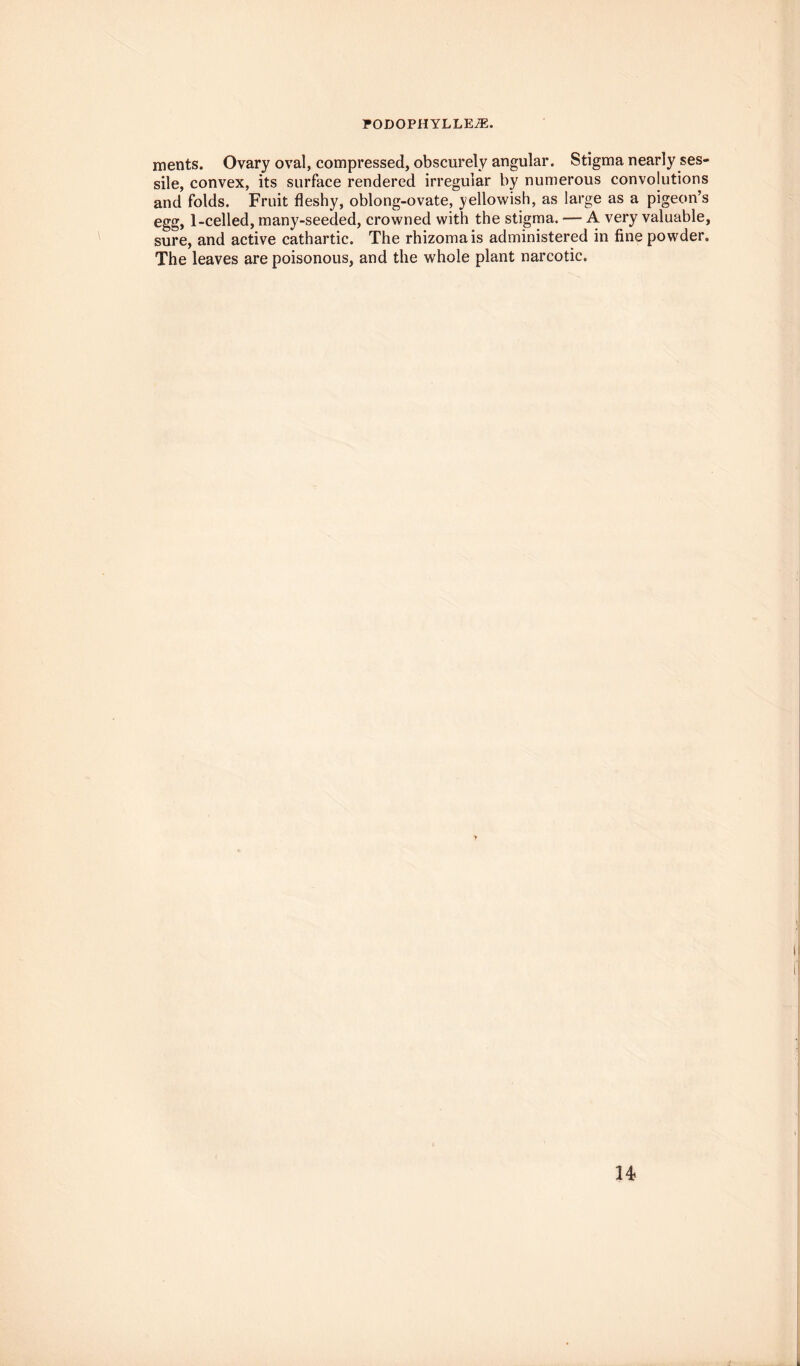 FODOPHYLLEiE. ments. Ovary oval, compressed, obscurely angular. Stigma nearly ses¬ sile, convex, its surface rendered irregular by numerous convolutions and folds. Fruit fleshy, oblong-ovate, yellowish, as large as a pigeon’s egg, 1-celled, many-seeded, crowned with the stigma. — A very valuable, sure, and active cathartic. The rhizomais administered in fine powder. The leaves are poisonous, and the whole plant narcotic.