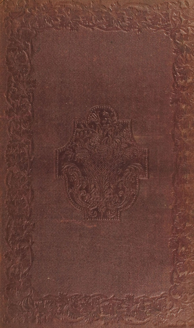Ona ess at ay, : Meee OO IIIA , vue 4 8, LEE LEELA, A is MME LIL, f ry Ay 7 PALIAAA LEAL GID MLAS A oes , 4, ae . ? is ase oy J fy , Wo as Bs ¥ 5 ae Gi LOCA OR ED Loa