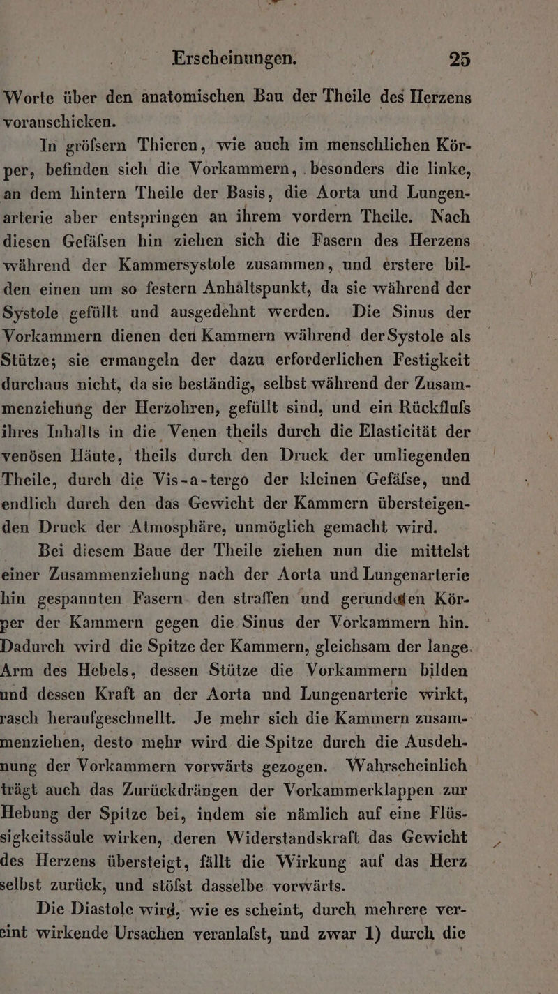 Worte über den anatomischen Bau der Theile des Herzens voranschicken. In gröfsern Thieren, wie auch im menschlichen Kör- per, befinden sich die Vorkammern, .besonders die linke, an dem hintern Theile der Basis, die Aorta und Lungen- arterie aber entspringen an ihrem vordern Theile. Nach diesen Gefälsen hin ziehen sich die Fasern des Herzens während der Kammersystole zusammen, und erstere bil- den einen um so festern Anhältspunkt, da sie während der Systole gefüllt und ausgedehnt werden. Die Sinus der Vorkammern dienen den Kammern während derSystole als Stütze; sie ermangeln der dazu erforderlichen Festigkeit durchaus nicht, da sie beständig, selbst während der Zusam- menziehung der Herzohren, gefüllt sind, und ein Rückflufs ihres Inhalts in die Venen theils durch die Elasticität der venösen Häute, theils durch den Druck der umliegenden Theile, durch die Vis-a-tergo der kleinen Gefäfse, und endlich durch den das Gewicht der Kammern übersteigen- den Druck der Atmosphäre, unmöglich gemacht wird. Bei diesem Baue der Theile ziehen nun die mittelst einer Zusammenziehung nach der Aorta und Lungenarterie hin gespannten Fasern. den straffen und gerundden Kör- per der Kammern gegen die Sinus der Vorkammern hin. Dadurch wird die Spitze der Kammern, gleichsam der lange. Arm des Hebels, dessen Stütze die Vorkammern bilden und dessen Kraft an der Aorta und Lungenarterie wirkt, rasch heraufgeschnellt. Je mehr sich die Kammern zusam-- menziehen, desto mehr wird die Spitze durch die Ausdeh- nung der Vorkammern vorwärts gezogen. Wahrscheinlich | trägt auch das Zurückdrängen der Vorkammerklappen zur Hebung der Spitze bei, indem sie nämlich auf eine Flüs- sigkeitssäule wirken, deren Widerstandskraft das Gewicht des Herzens übersteigt, fällt die Wirkung auf das Herz selbst zurück, und stöfst dasselbe vorwärts. Die Diastole wird, wie es scheint, durch mehrere ver- eint wirkende Ursachen veranlalst, und zwar 1) durch die