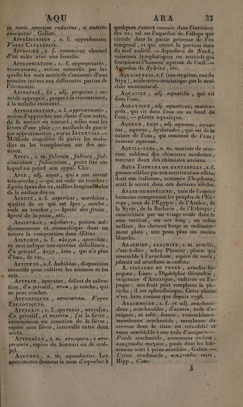 AQU suscipitur , Galien. APPRÉHENSION , Voyez CATAÏLEPSIE. APPROCHÉ ,s. f. commercé charnél d’ün mâle avec une femelle. . APPROPRIATION ; S, f. appropriatio , Tpogtixoiwes , action naturelle par la- quelle les sucs nutritifs s'unissent d’une manière intime aux différentes parties de l’économie. APPROPRIÉ, ÉE , adj. proprius ; re- mède approprié, propre à la circonstance, à la maladie existante. APPROXIMATION, S. f, approximatio , action d'approcher une chose d’une autre, de la métire en contact ; telles sont les lèvres d’une plaie ; méthode de guérir par approximation , voyez INTENTION.— féthode singulière de guérir les mala- dies en les transplantant sur des ani- MAUX.. por “Aprpui, s. m, fulcrum , fultura , ful- <imentum , fulmentum , point fixe sur ss f apprehensio, APRE, adj. asper,, qui a une saveur très-acerbe ; — qui;est rude au toucher : lignes. âpres des os, saillies longitudinales de la surface des os. APRETÉ, s.f. asperitas, acerbitas, qualité de ce qui est äpre , acerbe, rude au toucher; — âpreté des fruits, àpreté de la peau etc. APSINTHAT ; «aduiv0ærcy, potion mé- dicamenteuse et.stomachique dont on trouve la composition dans AEtius. APSYCHIE, S. f. æduyia, apsychia ; ce mot indique une extrême défaillance , d'âme, de vie. _ApTiTunE , sf. habilitas, disposition arts, NE RP - APTYSTE , apiystas , défaut de saliva- tion, d'a privatif, ærv® , je crache, qui ne peut cracher. __ APULOTIQUES , arovAuwTinæ. Voyez ÉruLoTiques. | a APyRExIE;S. Î. apyrexia , arupt£ia, da privatif, et rvperTe , jai la fièvre, intermission ‘ou cessation de la fièvre ; espace sans fièvre, intervalle entré deux accès. : ** APYROMÈLE , S. M. A7UPQUNAN ; N TU pel.. . ri dE AÂQuEDUG, s. M, aqueductus. Les anatomistes donnent le nom d’aqueduc à ÂR À 33 quoique «Canaux creusés: dans l’intérieur es os; tel est l’aquéduc de Fallope qui temporal , et qui recoit. la portion duré fournissent l'humeur aqueuse de l'œil. 3 ._ AQua-sTyela, s.f. (eau stygiène, eau du » . riate ammoniacal. , | , 4 dde > “7: Fiat . AQUATILE ; adj. aquatilis , qui vit 14 geux , qui vit dans l’eau où au bord de ‘AQUEUX , EUSE , adj. aquosus, aqua AQUILA-ALBA ; 8 mA muriate de mer- méreure doux des chimistes anciens. . AQuA ToPHANA OU GANTARELLA , 5. f, poison célèbre par sonactivitéetses effets;: ÂRABE-EUROPÉENNE , race de l’espèce humaine comprenant les peuples de lEu- rypte , de l'Arabie, de la Syrie, de la Barbarie , de l'Ethiopie ; caractérisée par un visage ovale dans le sens vertical, un-nez long ; un crâne saillant , des cheveux longs et ordinairé-- ment plats , une peau plus ou moins blanche. #0 AÂARACHIDE , ARACHINE, S. M. araChis, c’est-à-dire, selon Plumier , planté qui ressemble à l’arachum, espèce de veste, planta ad arathum accedens. di À. PISTAGHE DE TERRE , arachis hy- pogæa ; Linn: ; Diadelphie décandrie ; originaire d'Amérique; cultivée en Es-: pagne : son fruit péut remplacer la pis- tache ; il est aphrodisiaque. Cette plante: n’est bien connue qué depuis 1705: ARACHNOÏDE ; s. f..et adj, arachnot- raignée, et #idoc, forme , ressemblance. membrane .axachnoïde ; membrane du cerveau dont de tissu est très-délié et? Pouls arachnoïde, araneosus pulsus , apaxvomdns cpuyuoc, pouls dont les bat- Urine arachnoïde , æpayvimdes oupor, à