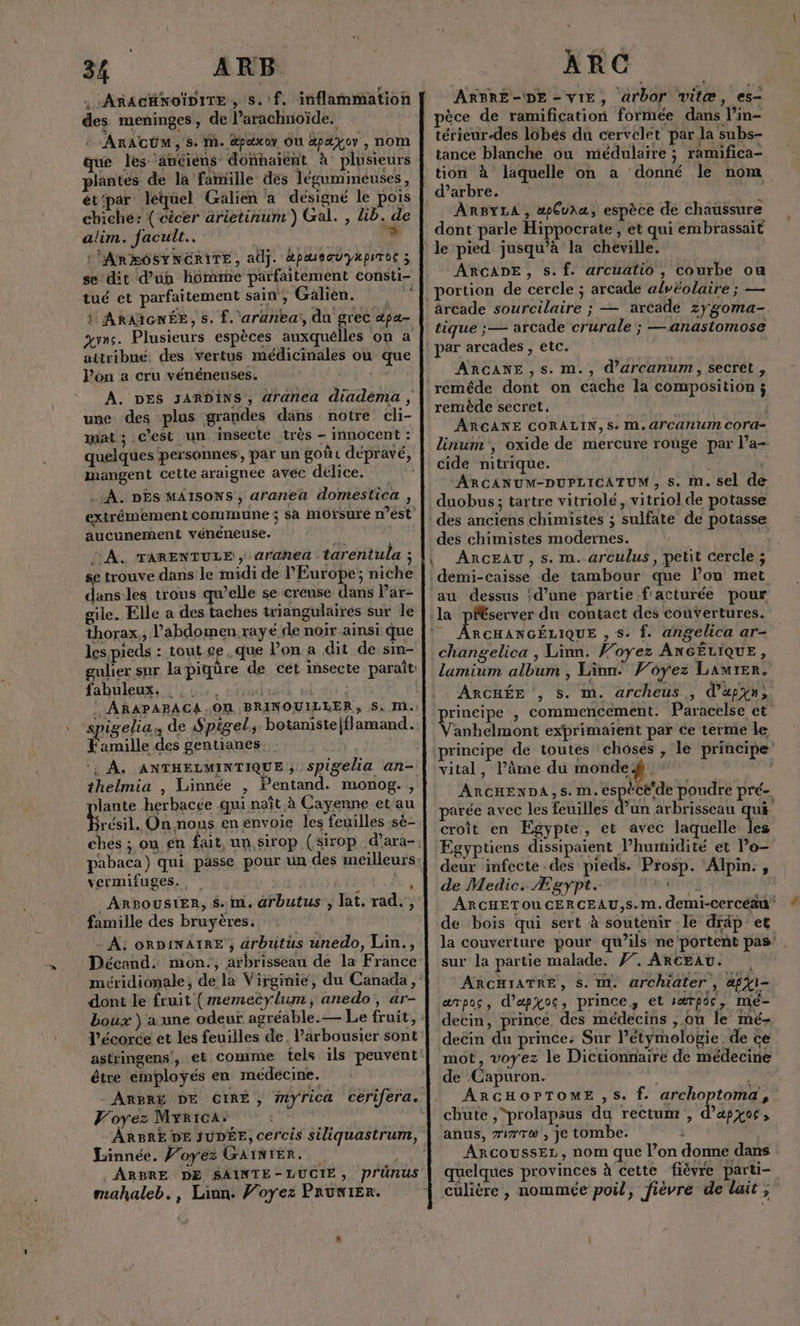 . ArñacäwoïDire, sf. inflammation des meninges, de l’arachnoïde. ::ARACUM, S. M. Apaxoy OÙ ApAYOY , NOM que les anciens donnaient à plusieurs plantés de la famille des légumineuses, ét‘par léquel Galien a désigné le pois chiche: (cicer arietinum ) Gal. , Lib. de alim. facult.…. L. L'ARMOSYNCRITE, aüj. àpaæssœuypiTOc ; se dit d’un hômihe parfaitement consti- tué et parfaitement sain, Galien. 1 ARAIGNÉE, s. f.'aranea', du grec pa vs. Plusieurs espèces auxquelles on a attribué des vertus médicinales ou que l’on a cru vénéneuses. A. DES JARDINS, aranea diadèma , une des plus grandes dans notre cli- mat ; c'est un ‘insecte très — innocent : quelques personnes’, par un goùr dépravé, mangent cette araignée avec délice, - À. DEs MAISONS , aranea domestica , extrémement commune ; sa Morsuré n’ést aucunement vénéneuse. A. TARENTULE , aranea .tarentula ; se trouve dans le midi de l'Europe; niche dans les trous qu’elle se creuse dans Par- gile. Elle a des taches triangulairés sur le thorax,, l'abdomen rayé de noir ainsi que les pieds : tout ce. que lon a dit de sin- gulier sur la piqüre de cet insecte parait: fabuleux. _: pasel | | : ARAPABACA OU BRINOUILLER, S. M. Famille des gentianes ‘, À, ANTHELMINTIQUE ; spigelia an- thelmia , Linnée , Pentand. monog. , lante herbacée qui naît à Cayenne et au à enenvoie les feuilles sè- vermifuges., , | _ArpoustER, $. m. arbutus , lat. rad. , famille des bruyères. - À: ORDINAIRE , arbuitus unedo, Lin., dont le fruit (memeëylum, anedo, ar- être employés en médécine. Voyez Myrica: Linnée. P’oyés GAINIER. j . ARBRE DE SAINTE-LUCIE,. Pr'ünus mahaleb., Lann. Voyez PRUNIER. #“ ARC ARBRE-DE - VIE, arbor vitæ, es- pèce de ramification formée dans l’in- térieur-des lôbés du cervelet par la subs- tance blanche ou médulaire ; ramifica- tion à laquelle on a donné le nom d’arbre. ARBYLA , æÇura, espèce de chaussure dont parle Hippocrate, et qui embrassait le pied jusqu’à la cheville. ARCADE, s.f. arcuatio , courbe ou ärcade sourcilaire ; — arcade zygoma-. tique ; — arcade crurale ; —anastomose ARCANE ,S. m., d’arcanum, secret , ARGANE CORALIN, S. M. 4CANUM COrTA= linum , oxide de mercure roûge par l’a-- cide nitrique. ARCANUM-DUPLICATUM, s. m. sel de ARCGEAU, s. m. arculus, petit cercle ; demi-caisse de tambour que l’on met au dessus ;d’une partie facturée pour RCHANGÉLIQUE , s. f. angelica ar- changelica , Linn. Voyez ANGÉLIQUE, ARCHÉE , 5. m. archeus , d’apyn) anhelmont exprimaïent par ce terme le ARCHENDA,S.m. . tde poudre pré arée avec les feuilles d’un arbrisseau qui croît en Egypte, et avec laquelle les de Medic. Ægypt. Wrwf ARCHETOUCERCEAU,S.m. demi-Cercéau sur la partie malade. }7. ARGEAU. ARCHIATRE, S. M. archiater , #fÿi- arpos, d’apyos, prince, et særpos, mé- deëin du prince: Sur l’étymelogie. de ce mot, voyez le Dictionnaire de médecine de Capuron. ARCHOPTOME ,5s. f. archoptoma, anus, #77, je tombe. à ARCOUSSEL, nom que l’on donme dans quelques provinces à cette fièvre parti- culière, nommée poil, fièvre de lait ;”