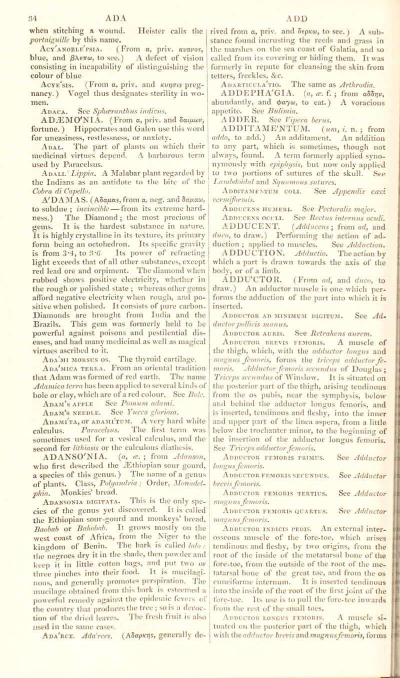 when stitching a wound. Heister calls the portaiguille by this name. Acy'anoble'psia. (From a, priv. Kuaros, blue, and /3\eiru>, to see.) A defect of vision consisting in incapability of distinguishing the colour of blue Acye'sis. (From a, priv. and kvjjctis preg¬ nancy. ) Vogel thus designates sterility in wo¬ men. Adaca. See Splueranthus indicus. AD/EMCVNIA. (From a, priv. and Satixuv, fortune. ) Hippocrates and Galen use this word for uneasiness, restlessness, or anxiety. Adal. The part of plants on which their medicinal virtues depend. A barbarous term used by Paracelsus. Adali. Lippia. A Malabar plant regarded by the Indians as an antidote to the bite of the Cobra di Capello. A'DAMAS. (ASapas, from a, neg. and Sapacn, to subdue ; invincible — from its extreme hard¬ ness.) The Diamond; the most precious of gems. It is the hardest substance in nature. It is highly crystalline in its texture, its primary form being an octohedron. Its specific gravity is from 3'4, to 3'6 Its power of refracting light exceeds that of all other substances, except red lead ore and orpiment. The diamond when rubbed shows positive electricity, whether in the rough or polished state ; whereas other gems afford negative electricity when rough, and po¬ sitive when polished. It consists of pure carbon. Diamonds are brought from India and the Brazils. This gem was formerly held to be powerful against poisons and pestilential dis¬ eases, and had many medicinal as w ell as magical virtues ascribed to it. Ada'mi moksus os. The thyroid cartilage. Ada'mica terra. From an oriental tradition that Adam was formed of red earth. The name Adamica terra has been applied to several kinds of bole or clay, which are of a red colour. See Bole. Adam’s apple See Pomum adami. Adam’s needle. See Yucca gloriosa. Adami'ta, or adami'tum. A very hard white calculus. Paracelsus. The first term was sometimes used for a vesical calculus, and the second for lithiasis or the calculous diathesis. ADANSO'NIA. (a, cv. ; from Adanson, who first described the ./Ethiopian sour gourd, a species of this genus.) The name of a genus of plants. Class, Poh/andria; Order, Monadcl- phia. Monkies’ bread. Adansonia digitata. This is the only spe¬ cies of the genus yet discovered. It. is called the Ethiopian sour gourd and monkeys’ bread, Baobab or Bahobab. It grows mostly on the west coast of Africa, from the Niger to the kingdom of Benin. The bark is called lalo : the negroes dry it in the shade, then powder and keep i” in little cotton bags, and put two or three pinches into their food. It is mucilagi¬ nous, and generally promotes perspiration. The mucilage obtained from this bark is esteemed a powerful remedy against the epidemic fevers of the country that produces the tree ; so is a decoc¬ tion of the dried leaves. 1 he fresh fruit is also used in the same cases. Ada'rce. Ada'rces. (ASapiens, generally de¬ rived from a, priv. and Sepicto, to see.) A sub¬ stance found incrusting the reeds and grass in the marshes on the sea coast of Galatia, and so called from its covering or hiding them. It was formerly in repute for cleansing the skin from tetters, freckles, Sec. Adarticula'tio. The same as Arthrodia. ADDEPHA'GIA. (a, ce. f. ; from aSbyv, abundantly, and (payee, to eat.) A voracious appetite. See Bulimia. ADDER. See Vipera berus. ADDITAME'NTUM. (urn, i. n. ; from addo, to add.) An additament. An addition to any part, which is sometimes, though not always, found. A term formerly applied syno¬ nymously with epiphysis, but now only applied to two portions of sutures of the skull. See Lambdoidal and Squamous sutures. Additamentum coli. See Appendix cceci vermiformis. Adducens humeri. See Pectoralis major. Adducens oculi. See Bcctus internets oculi. ADDUCENT. (Adducens ; from ad, and i duco, to draw.) Performing the action of ad¬ duction ; applied to muscles. See Adduction. ADDUCTION. Adductio. The action by which a part is drawn towards the axis of the body, or of a limb. ADDU'CTOll. (From ad, and duco, to draw.) An adductor muscle is one which per¬ forms the adduction of the part into which it is inserted. Adductor ad minimum dicitum. See Ad* ductor pollicis man us. Adductor auris. See Betrahens aurem. Adductor brevis femoris. A muscle of the thigh, which, with the adductor longus and magnus femoris, forms the triceps adductor fe¬ moris. Adductor femoris secundus of Douglas; Triceps secundus of Winslow. It is situated on the posterior part of the thigh, arising tendinous from the os pubis, near the symphysis, below and behind the adductor longus femoris, and is inserted, tendinous and fleshy, into the inner and upper part of the linea aspera, from a little below the trochanter minor, to the beginning of the insertion of the adductor longus femoris. See Triceps adductor femoris. Adductor femoris ramus. See Adductor I longus femoris. Adductor femoris secundus. See Adductor j brevis femoris. j Adductor femoris tertius. See Adductor j magn us fern oris. Adductor femoris quartus. See Adductor magnus femoris. Adductor indicis pedis. An external inter¬ osseous muscle of the fore-toe, which arises i tendinous and fleshy, by two origins, from the j root of the inside of the metatarsal bone of the | fore-toe, from the outside of the root of the me- | tatarsal bone of the great toe, and from the os cuneiformc internum. It is inserted tendinous into the inside of the root of the first joint of the fore-toe. Its use is to pull the fore-toe inw ards from the rest of the small toes. Adductor longus femoris. A muscle si¬ tuated on the posterior part of the thigh, which w ith the adductor brevis and magnusfemoris, forms