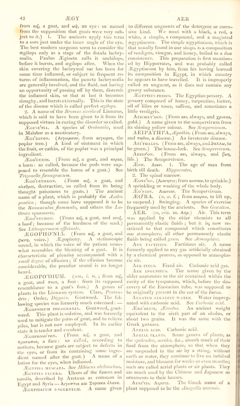 from ai£, a goat, and coip, an eye : so named from the supposition that goats were very sub¬ ject to it.) 1. The ancients apply this term to a sore just under the inner angle of the eye. The best modern surgeons seem to consider the tegilops only as a stage of the fistula lachry- malis. Paulus yEgineta calls it anchilops, before it bursts, and aegilops after. When the skin covering the lachrymal sac has been for some time inflamed, or subject to frequent re¬ turns of inflammation, the puncta lachrymalia are generally involved, and the fluid, not having an opportunity of passing off by them, distends the inflamed skin, so that at last it becomes sloughy, and bursts externally. This is the state of the disease which is called perfect eegilops. 2. A name of the Bromus sterilis of Linnatus, which is said to have been given to it from its supposed virtues in curing the disorder so called. tEgine'tia. A species of Orobanclie, used in Malabar as a masticatory'. .Egi'rinon. (Aiyeipivov, from aiyetpos, the poplar tree.) A kind of ointment in which the fruit, or catkin, of the poplar was a principal ingredient. .Ego'ceros. (From at|, a goat, and /repay, a horn: so called, because the pods were sup¬ posed to resemble the horns of a goat.) See Trigonella famugrcecum. tEgo'lethron. (From ai£, a goat, and oAedpos, destruction, so called from its being thought poisonous to goats.) The ancient name of a plant, which is probably the Azalea pontica ; though some have supposed it to be the Ranunculus Jlammula, and others the La- tlireea squamaria. -Ego'nychon. (From ai£, a goat, and ovv£, a hoof; because of the hardness of the seed.) See Lithospermum officinale. jEGOPHO'NIA. (From ai£, a goat, and tpuivi], voice.) yEgophony. A stethoscopic sound, in which the voice of the patient some¬ what resembles the bleating of a goat. It is characteristic of pleurisy accompanied with a small degree of effusion; if the effusion become considerable, the peculiar sound is no longer heard. yEGOPO'DIUM. (uni, i. n. ; from m£, a goat, and irons, a foot: from its supposed resemblance to a goat’s foot.) A genus of plants in the Linnaean system. Class, Pentan- dria; Order, Digynia. Goatweed. The fol¬ lowing species was formerly much esteemed : — AEgopodium pod a gr aria. Goatweed, gout- weed. This plant is sedative, and was formerly used to mitigate the pains of gout, and to relieve piles, but is not now employed. In its earlier state it is tender and esculent. jEgoproso'pon. (From ai£, a goat, and irpoauirov, a face: so called, according to authors, because goats are subject to defects in the eyes, or from its containing some ingre¬ dient named after the goat.) A name of a lotion for the eyes, when inflamed. yEuyptia muscata. See Hibiscus abelmochus. ZEgyptia ui.cera. Ulcers of the fauces and tonsils, described by Aretieus as common in Egypt and Syria — Aiyvwria uat SnpiaKa eAicea. /Egyptiacum unguentum. A name given to different unguents of the detergent or corro¬ sive kind. We meet with a black, a red, a white, a simple, a compound, and a magistral aegyptiacum. The simple aqzyptiacum, which is that usually found in our shops, is a composition of verdigris, vinegar, and honey, boiled to a due consistence. This preparation is first mention¬ ed by Hippocrates, and was probably called yEgyptiacum by him, from his having learned its composition in Egypt, in which country he appears to have travelled. It is improperly called an unguent, as it does not contain any greasy substance. yEuYPTius pessus. The Egyptian pessary. A pessary composed of honey, turpentine, butter, oil of lilies or roses, saffron, and sometimes a little verdigris. Aeichry'son. (From aei, always, and xpua°s, gold.) A name given to the sempervivum from its shining yellow colour. See Sempervivum. AEIPATFI FA, Aipathia. (From aei, always, and tv ados, a disease.) An inveterate disease. Aei'thales. (From aei, always, andAaA/Vcv, to be green.) The house-leek. See Sempervivum. Aeizo'on. (From aei, always, and fair), life.) The Sempervivum. /Eon. Atau/. 1. The age of man from birth till death. Hippocrates. 2. The spinal marrow. ^Eone'sis. (Aiovijoas; from awvaoo, to sprinkle.) A sprinkling or washing of the whole body. -Eonion. Aiuvtov. The Sempervivum. iEO'IlA. (a, a-, f. ; from aioipeor, to lift up, to suspend.) Swinging. A species of exercise I frequently used by the ancients. See Gestation. A E R. (er, eris. m. Ar)p.) Air. This term was applied by the older chemists to all 1 permanently elastic fluids ; but it is, now re- »: stricted to that compound which constitutes 1! our atmosphere, all other permanently elastic I fluids being called gases. See Atmosphere. Aer factitius. Factitious air. A name I formerly applied to any gas artificially obtained by a chemical process, as opposed to atmosphe- || lie air. Aer fixus. Fixed air. Carbonic acid gas. U Aer ingenitus. The name given by the older anatomists to the air contained within the || cavity of the tympanum, which, before the dis- n covery of the Eustacian tube, was supposed to I be originally present in the ear of the foetus. Aerated alkaline water Water impreg- f nated with carbonic acid. See Carbonic acid. /Eke'olu m, JErealus. An ancient weight II equivalent to the sixth part of an obolus, or | about two grains. It was the same with the I Greek xab'<ovs. Aerial acid. Carbonic acid. Aerial vlants. Some genera of plants, as I the epidendra, aeriiles, Sec., absorb much of their II food from the atmosphere, so that when they II are suspended in the air by a string, without II earth or water, they continue to live on imbibed II moisture, and blossom for weeks or even months; || such are called aerial plants or air plants. They fl are much used by the Chinese and Japanese as II ornaments to their houses. Akri'tis. Aepnts. The Greek name of a IP plant supposed to be the Anagallis areensis.