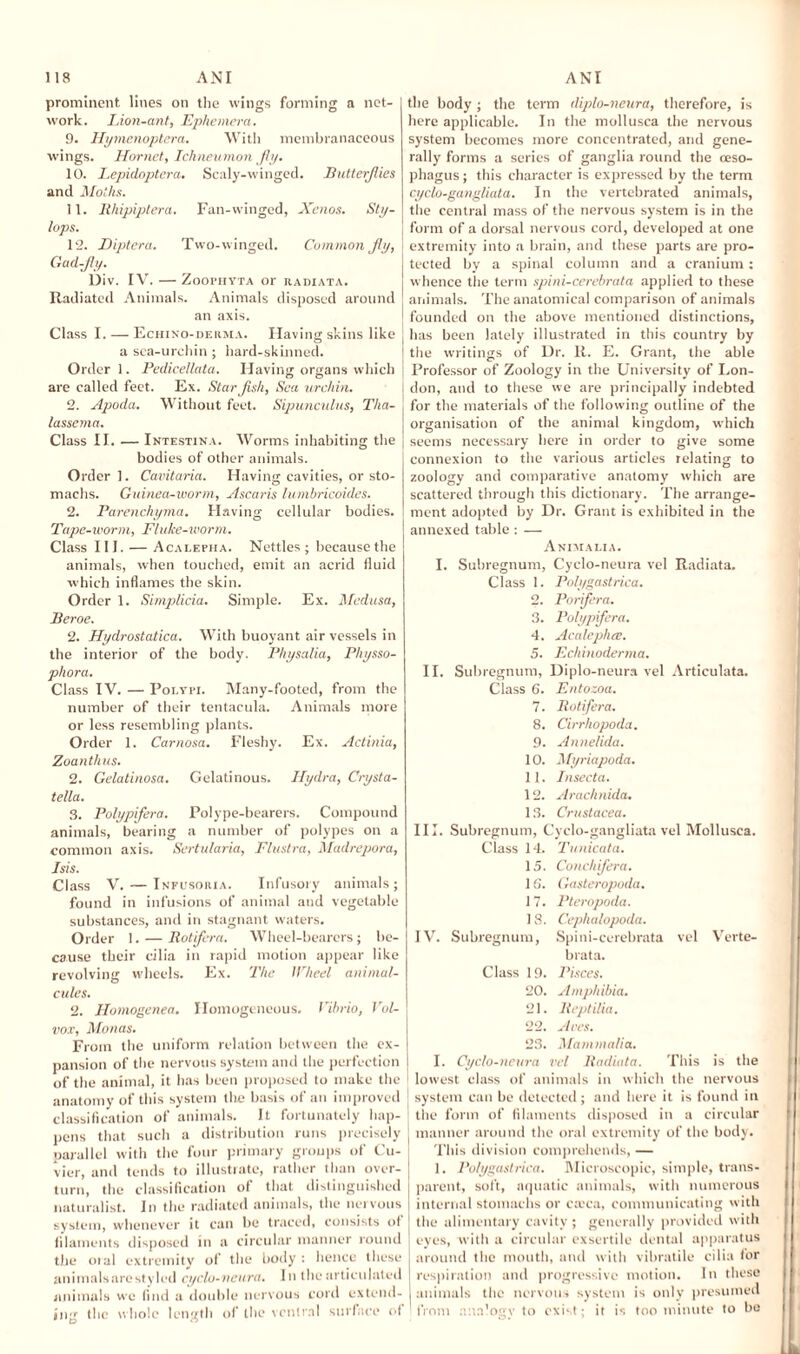 prominent lines on the wings forming a net¬ work. J.ion-ant, Ephemera. 9. Hymenoptera. With membranaceous wings. Hornet, Ichneumon fly. 10. Lepidoptera. Scaly-winged. Butte flies and Moths. 11. Rhipiplera. Fan-winged, Xenos. Sty- lops. 12. Hip ter a. Two-winged. Common Jly, Gad-fly. Div. IV. — Zoophyta or radiata. Radiated Animals. Animals disposed around an axis. Class I. — Echino-derma. Having skins like a sea-urchin ; hard-skinned. Order 1. Pedicellata. Having organs which are called feet. Ex. Star Jish, Sea urchin. 2. Apoda. Without feet. Sipunculus, Tha- lasscma. Class II. — Intestina. Worms inhabiting the bodies of other animals. Order 1. Cavitaria. Having cavities, or sto¬ machs. Guinea-worm, Ascaris lumbricoides. 2. Parenchyma. Having cellular bodies. Tape-worm, Fluke-worm. Class III. — Acalepha. Nettles; because the animals, when touched, emit an acrid fluid which inflames the skin. Order 1. Simplicia. Simple. Ex. Medusa, Beroe. 2. Hydrostatica. With buoyant air vessels in the interior of the body. Physalia, Physso- phora. Class IV. — Polypi. Many-footed, from the number of their tentacula. Animals more or less resembling plants. Order 1. Carnosa. Fleshy. Ex. Actinia, Zoanthus. 2. Gelatinosa. Gelatinous. Hydra, Crysta- tella. 3. Polypifera. Polype-bearers. Compound animals, bearing a number of polypes on a common axis. Sertularia, Flustra, Madrepora, Isis. Class V. — Infusoria. Infusory animals; found in infusions of animal and vegetable substances, and in stagnant w'aters. Order 1. — Rotifera. Wheel-bearers ; be¬ cause their cilia in rapid motion appear like revolving wheels. Ex. The Wheel animal¬ cules. 2. Homogenea. Homogeneous. Vibrio, Vol- vox, Monas. From the uniform relation between the ex¬ pansion of the nervous system and the perfection of the animal, it has been proposed to make the anatomy of this system the basis of an improved classification of animals. It fortunately hap¬ pens that such a distribution runs precisely parallel with the four primary groups of Cu¬ vier, and tends to illustrate, rather than over¬ turn, the classification of that distinguished naturalist. In the radiated animals, the nervous system, whenever it can be traced, consists of filaments disposed in a circular manner round the oial extremity of the body : hence these animalsarestylcd cyclo-neura. In the articulated animals we find a double nervous cord extend¬ ing the whole length of the ventral surface of the body; the term diplo-neura, therefore, is here applicable. In the mollusca the nervous system becomes more concentrated, atid gene¬ rally forms a series of ganglia round the oeso¬ phagus ; this character is expressed by the term cyclo-gangliata. In the vertebrated animals, the central mass of the nervous system is in the form of a dorsal nervous cord, developed at one extremity into a brain, and these parts are pro¬ tected by a spinal column and a cranium: whence the term spini-cerebrata applied to these animals. The anatomical comparison of animals founded on the above mentioned distinctions, has been lately illustrated in this country by the writings of Dr. R. E. Grant, the able Professor of Zoology in the University of Lon¬ don, and to these we are principally indebted for the materials of the following outline of the organisation of the animal kingdom, which seems necessary here in order to give some connexion to the various articles relating to zoology and comparative anatomy which are scattered through this dictionary. The arrange¬ ment adopted by Dr. Grant is exhibited in the annexed table : — Animalia. I. Subregnum, Cyclo-neura vel Radiata. Class 1. Polygastrica. 2. Porifera. 3. Polypifera. 4. Acalephce. 5. Echinoderma. II. Subregnum, Diplo-neura vel Articulata. Class 6. Entozoa. 7. Rotifera. 8. Cirrhopoda. 9. Annelida. 10. Myriapoda. 11. Insecta. 12. Arachnida. 13. Crustacea. III. Subregnum, Cyclo-gangliata vel Mollusca. Class 14. Tunicata. 15. Conchfera. 1S. Gasteropoda. 1 7. Pteropoda. 18. Cephalopoda. IV. Subregnum, Spini-cerebrata vel Verte- brata. Class 19. Pisces. 20. Amphibia. 21. Reptilia. 22. Ares. 23. Mammalia. I. Cyclo-neura vel Radiata. This is the lowest class of animals in which the nervous system can be detected; and here it is found in ! the form of filaments disposed in a circular ' manner around the oral extremity of the body. This division comprehends, — 1. Polygastrica. Microscopic, simple, trans¬ parent, soft, aquatic animals, with numerous internal stomachs or catca, communicating with the alimentary cavity; generally provided with eyes, with a circular exsertile dental apparatus around the mouth, and with vibratile cilia for respiration and progressive motion. In these animals the nervous system is only presumed from analogy to exist; it is too minute to bo