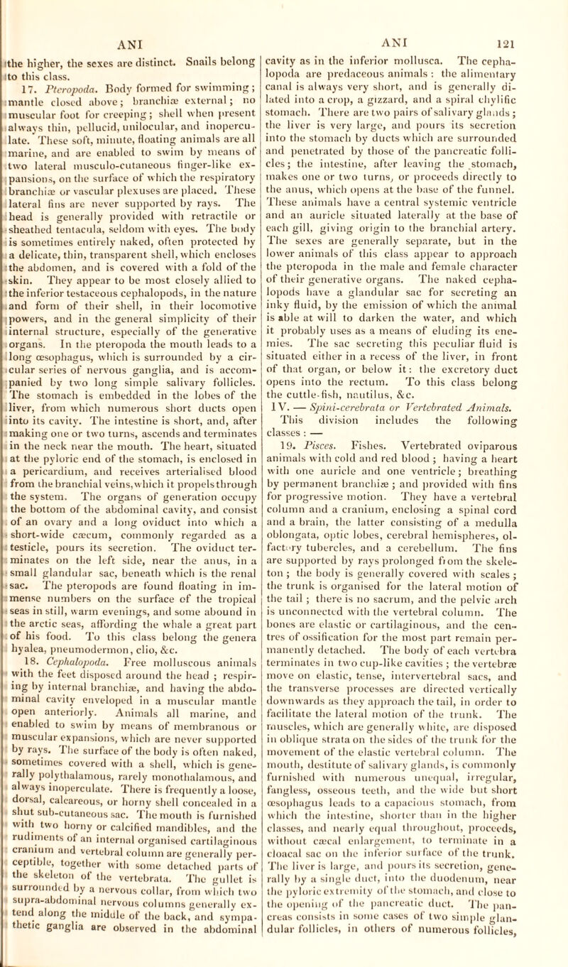 ithe higher, the sexes are distinct. Snails belong ito this class. 17. Pteropoda. Body formed for swimming ; mantle closed above; branchi® external; no muscular foot for creeping; shell when present always thin, pellucid, unilocular, and inopercu- late.' These soft, minute, floating animals are all marine, and are enabled to swim by means of two lateral musculo-cutaneous finger-like ex¬ pansions, on the surface of which the respiratory branchiae or vascular plexuses are placed. These lateral fins are never supported by rays. The head is generally provided with retractile or sheathed tentacula, seldom with eyes. The body is sometimes entirely naked, often protected by a delicate, thin, transparent shell, which encloses the abdomen, and is covered with a fold of the ■skin. They appear to be most closely allied to the inferior testaceous cephalopods, in the nature and form of their shell, in their locomotive powers, and in the general simplicity of their internal structure, especially of the generative organs. In the pteropoda the mouth leads to a long oesophagus, which is surrounded by a cir¬ cular series of nervous ganglia, and is accom- panied by two long simple salivary follicles. The stomach is embedded in the lobes of the liver, from which numerous short ducts open into its cavity. The intestine is short, and, after making one or two turns, ascends and terminates in the neck near the mouth. The heart, situated at the pyloric end of the stomach, is enclosed in a pericardium, and receives arterialised blood from the branchial veins,which it propelsthrough the system. The organs of generation occupy the bottom of the abdominal cavity, and consist of an ovary and a long oviduct into which a short-u'ide c®cum, commonly regarded as a testicle, pours its secretion. The oviduct ter¬ minates on the left side, near the anus, in a small glandular sac, beneath which is the renal sac. The pteropods are found floating in im¬ mense numbers on the surface of the tropical seas instill, warm evenings, and some abound in the arctic seas, affording the whale a great part of his food. To this class belong the genera hyalea, pneumodermon, clio, &c. 18. Cephalopoda. Free molluscous animals with the feet disposed around the head ; respir- ing by internal branchiae, and having the abdo¬ minal cavity enveloped in a muscular mantle open anteriorly. Animals all marine, and enabled to swim by means of membranous or muscular expansions, which are never supported by rays. I he surface of the body is often naked, sometimes covered with a shell, which is gene¬ rally polythalamous, rarely monothalamous, and always inoperculate. There is frequently a loose, dorsal, calcareous, or horny shell concealed in a shut sub-cutaneous sac. The mouth is furnished with two horny or calcified mandibles, and the rudiments of an internal organised cartilaginous cranium and vertebral column are generally per¬ ceptible, together with some detached parts of the skeleton of the vertebrata. The gullet is surrounded by a nervous collar, from which two supra-abdominal nervous columns generally ex¬ tend along the middle of the back, and sympa¬ thetic ganglia are observed in the abdominal cavity as in the inferior mollusca. The cepha¬ lopoda are predaceous animals : the alimentary canal is always very short, and is generally di¬ lated into a crop, a gizzard, and a spiral chylific stomach. There are two pairs of salivary glands; the liver is very large, and pours its secretion into the stomach by ducts which are surrounded and penetrated by those of the pancreatic folli¬ cles; the intestine, after leaving the stomach, makes one or two turns, or proceeds directly to the anus, which opens at the base of the funnel. These animals have a central systemic ventricle and an auricle situated laterally at the base of each gill, giving origin to the branchial artery. The sexes are generally separate, but in the lower animals of this class appear to approach the pteropoda in the male and female character of their generative organs. The naked cepha¬ lopods have a glandular sac for secreting an inky fluid, by the emission of which the animal is able at will to darken the water, and which it probably uses as a means of eluding its ene¬ mies. The sac secreting this peculiar fluid is situated either in a recess of the liver, in front of that organ, or below' it: the excretory duct opens into the rectum. To this class belong the cuttle-fish, nautilus, &c. IV. — Spini-cerebrata or Vertebrated Animals. This division includes the following classes : — 19. Pisces. Fishes. Vertebrated oviparous animals with cold and red blood ; having a heart with one auricle and one ventricle; breathing by permanent branching ; and provided with fins for progressive motion. They have a vertebral column and a cranium, enclosing a spinal cord and a brain, the latter consisting of a medulla oblongata, optic lobes, cerebral hemispheres, ol¬ factory tubercles, and a cerebellum. The fins are supported by rays prolonged fiom the skele¬ ton; the body is generally covered with scales; the trunk is organised for the lateral motion of the tail ; there is no sacrum, and the pelvic arch is unconnected with the vertebral column. The bones are elastic or cartilaginous, and the cen¬ tres of ossification for the most part remain per¬ manently detached. The body of each vertebra terminates in two cup-like cavities ; the vertebrae move on elastic, tense, intervertebral sacs, and the transverse processes are directed vertically downwards as they approach the tail, in order to facilitate the lateral motion of the trunk. The muscles, which are generally white, are disposed in oblique strata on the sides of the trunk for the movement of the elastic vertebral column. The mouth, destitute of salivary glands, is commonly furnished with numerous unequal, irregular, fangless, osseous teeth, and the wide but short oesophagus leads to a capacious stomach, from which the intestine, shorter than in the higher classes, and nearly equal throughout, proceeds, without crecal enlargement, to terminate in a cloacal sac on the inferior surface of the trunk. The liver is large, and pours its secretion, gene¬ rally by a single duct, into the duodenum, near the pyloric extremity of the stomach, and dose to the opening of the pancreatic duct. The pan¬ creas consists in some cases of two simple glan¬ dular follicles, in others of numerous follicles,