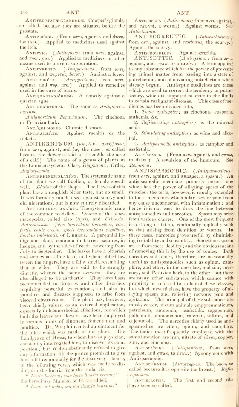 Antipro/statjs glandule. Cowper’sglands, so called, because they are situated before the prostate. Antu’so'kic. (From am, against, and tf/wpa, the itch.) Applied to medicines used against the itch. Antipyic. (Anlipyicus; from avri, against, and irvov, pus.) Applied to medicines, or other means used to prevent suppuration. Antipyre'tic. {Antipyreticus; from avri, against, and ■arvperos, fever.) Against a fever. A NTirvKo'nc. [ Antipyroticus ; from avri, against, and trap, fire.) Applied to remedies used in the cure of burns. Anxiquartana'rium. A remedy against a quartan ague. Antiqua’rticum. The same as Antiquarta- narium. Antiquarticum Peruvianum. The cinchona or Peruvian bark. Anti'qui mokiu. Chronic diseases. Antirachx'tic. Against rachitis or the lickets. ANTIRRHI'NUM. (um,i. n. ; avnppivov; from avri, against, and piv, the nose : so called because the flower is said to resemble the nose of a calf.) The name of a genus of plants in the Linntean system. Class, Didynamia; Order, Angiospermia. Antirrhinum elati'ne. The systematic name of the plant we call flucllen, or female speed¬ well. Elatine of the shops. The leaves of this plant have a roughish bitter taste, but no smell. It was formerly much used against scurvy and old ulcerations, but is now entirely discarded. Antirrhinum lina'ria. The systematic name of the common toad-flax. Linaria of the phar¬ macopoeias, called also Osyris, and Urinaria. Antirrhinum — fu/iis lanceolatis linearibus, con- fertis, cattle credo, spicis lerminalibus sessilibus, Jloribus imbricatis, of Linnaxus. A perennial in¬ digenous plant, common in barren pastures, in hedges, and by the sides of roads, flowering from July to September. The leaves have a bitterish and somewhat saline taste, and when rubbed be¬ tween the fingers, have a faint smell, resembling that of elder. They are said to be strongly diuretic, whence the name urinaria; they are also alleged to be carthartic. They have been recommended in dropsies and other disorders requiring powerful evacuations, and also in jaundice, and diseases supposed to arise from visceral obstructions. The plant has, however, been chiefly valued as an external application, especially in hsemorrhoidal affections, for which both the leaves and flowers have been employed in various forms of ointment, fomentation, and poultice. Dr. Wolph invented an ointment for the piles, which was made of this plant. The Landgrave of Hesse, to whom he was physician, constantly interrogated him, to discover its com¬ position but Wolph obstinately refused to give any information, till the prince promised to give him a fat ox annually for the discovery : hence, to the following verse, which was made to dis¬ tinguish the linaria from the esula, viz. “ Esula lactescil, sine lade linaria crescit the hereditary Marshal of Hesse added, “ Esula nil nobis, sed ilat linaria tuuruin. Antisco'i.ic. (Antiscolicus; from avri, against, and tmuX-f, a worm.) Against worms. See Anthelmintic. ANTI SCO RBU'TIC. {Antiscorbutic us from avri, against, and scorbutus, the scurvy.) Against the scurvy. Antiscro'i ulous. Against scrofula. ANTISE'PTIC. (Antisepticus; from avri, against, and tnyitu, to putrefy.) A term applied to any substance which has the power of prevent¬ ing animal matter from passing into a state of putrefaction, and of obviating putrefaction when already begun. Antiseptic medicines are those which are used to correct the tendency to putre- scency, which is supposed to exist in the fluids in certain malignant diseases. This class of me¬ dicines has been divided into, 1. Tonic antiseptics; as cinchona, cusparia, anthemis, &c. 2. liefrigerating antiseptics; as the mineral acids. 3. Stimulating antiseptics; as wine and alkc- hol. 4. Antispasmodic antiseptics ; as camphor and asafeetida. Antx'spasis. (From avri, against, and <T7raa', to draw.) A revulsion of the humours. See lievulsion. A N TIS P A S M O' DIG. (Antispasmodicus ; from avri, against, and airacryos, a spasm.) An antispasmodic medicine properly means one which has the power of allaying spasm of the muscles : the term, however, is usually extended to those medicines which allay severe pain from any cause unconnected with inflammation ; and hence it is not easy to draw the line between antispasmodics and narcotics. Spasm may arise from various causes. One of the most frequent is a strong irritation, continually applied ; such as that arising from dentition or worms. In these cases, narcotics prove useful by diminish- i iiig irritability and sensibility. Sometimes spasm i arises from mere debility ; and the obvious means I of removing this is by the use of tonics. Both | narcotics and tonics, therefore, are occasionally I useful as antispasmodics, such as opium, cam- i phire, and ether, in the one class, and zinc, mer- : cury, and Peruvian bark, in the other; but there are many other substances which cannot with propriety be referred to either of these classes, but which, nevertheless, have the property of al¬ laying spasm and relieving nervous pain and agitation. The principal of these substances are musk, castor, oleum animale empyreumaticum, petroleum, ammonia, usafoetida, sagapenum, galbanum, ainmoniacum, valerian, saffron, and cajeput oil. The narcotics chiefly used as anti¬ spasmodics are ether, opium, and camphire. The tonics most frequently employed with the same intention tire iron, nitrate of silver, copper, zinc, and cinchona. A ntisi-a'stic. (. Inlispasticus ; from avri, against, and airatv, to draw.) Synonymous with Antispasmodic. Antiste'rnum. (Avnarepvov. The back, so called because it is opposite the breast.) liufus Ephcsius. ANTisTitoriia. The first and second ribs have been so called.
