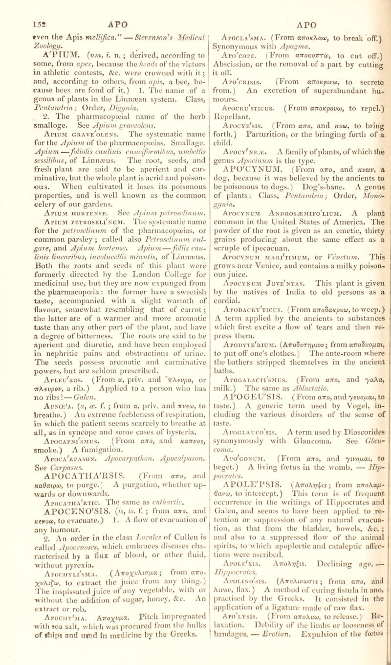 even the Apis mellijica. — Stevenson's Medical Zoology. A'PIUM. (um, i. n. ; derived, according to some, from apex, because the heads of the victors in athletic contests, &c. were crowned with it; and, according to others, from apis, a bee, be¬ cause bees are fond of it.) 1. The name of a genus of plants in the Linnccan system. Class, Pentandria; Order, Digynia. 2. The pharmacopccial name of the herb smalloge. See Apium graveolens. Apium giiave'olens. The systematic name for the Apium of the pharmacopoeias. Smallage. Apium—foliolis caulinis cuneiformibus, umbellis sessilibus, of Linnaeus. The root, seeds, and fresh plant are said to be aperient and car¬ minative, but the whole plant is acrid and poison¬ ous. When cultivated it loses its poisonous properties, and is well known as the common celery of our gardens. Apium hortense. See Apium petroselinum. Apium petroseli'num. The systematic name for the petroselinum of the pharmacopoeias, or common parsley ; called also Petroselinum vul- gare, and Apium hortense. Apium—■folds cau¬ linis linearibus, involucellis minutis, of Linnaeus. Both the roots and seeds of this plant were formerly directed by the London College for medicinal use, but they are now expunged from the pharmacopoeia: the former have a sweetish taste, accompanied with a slight warmth of flavour, somewhat resembling that of carrot; the latter are of a warmer and more aromatic taste than any other part of the plant, and have a degree of bitterness. The roots are said to be aperient and diuretic, and have been employed in nephritic pains and obstructions of urine. The seeds possess aromatic and carminative powers, but are seldom prescribed. Afleu'ros. (From a, priv. and irAcvpa, or irAcvpov, a rib.) Applied to a person who has no ribs !— Galen. Apnce'a. (a, a. f. ; from a, priv. and irveco, to breathe.) An extreme feebleness of respiration, in which the patient seems scarcely to breathe at all, as in syncope and some cases of hysteria. ApocArNi'sMUS. (From airo, and icanuos, smoke.) A fumigation. Afoca'rfason. Apocarpathon. Apocalpason. See Carpasus. APOCATIIA'RSIS. (From airo, and Kadaipio, to purge.) A purgation, whether up¬ wards or downwards. Apocatha'rtic. The same as cathartic. APOCENO'SIS. (is, is. f. ; from airo, and kcvooi, to evacuate.) 1. A flow or evacuation of any humour. 2. An order in the class Locales of Cullen is called Apocenoses, which embraces diseases cha¬ racterised by a flux of blood, or other fluid, without pyrexia. Apochyli'ssia. (Airoxyh-iapa •, from airo- XeAiftv, to extract the juice bom any thing.) The inspissated juice of any vegetable, with or without the addition of sugar, honey, &c. An extract or rob. Apochy'ma. AiroxvlJLa• Pitch impregnated with sea salt, which was procured from the hulks of Ships and nttjd fn medicine by the Greeks. Apocla'sma. (From airouAaoi, to break off.) Synonymous with Apagma. Apo'cope. (From airoicoirTw, to cut off.) Abscission, or the removal of a part by cutting it off. Apo'crisis. (From airouptuoi, to secrete from.) An excretion of superabundant hu¬ mours. Apocru’sticus. (From airoKpovw, to repel.) Repellant. Afocye'sis. (From airo, and kvw, to bring forth.) Parturition, or the bringing forth of a child. Apocy'nete. A family of plants, of which the genus Apocinum is the type. APCFCYNUM. (From airo, and kvcov, a dog, because it was believed by the ancients to be poisonous to dogs.) Dog’s-bane. A genus of plants: Class, Pentandria; Order, Mono- i gynia. Apocynum Anjiros.emifo'lium. A plant | common in the United States of America. The powder of the root is given as an emetic, thirty i grains producing about the same effect as a scruple of ipecacuan. Apocynum mari'timum, or Venetian. This grows near Venice, and contains a milky poison¬ ous juice. Apocynum Juve'ntas. This plant is given 1 by the natives of India to old persons as a i cordial. Apodacry'ticus. (From airoSaupva.’, to weep.) A term applied by the ancients to substances j which first excite a flow of tears and then re¬ press them. Apodyte'iiium. (AiroSurypiov; from airobvogat, i to put off one’s clothes.) The ante-room where I the bathers stripped themselves in the ancient baths. Apogalacti'smus. (From airo, and yaAa, milk.) The same ns Ablaclalio. APOGEU'SIS. ( From airo, and yevogat, to taste.) A generic term used by Vogel, in- t eluding the various disorders of the sense of taste. Apoglauco'sis. A term used by Dioscorides i synonymously with Glaucoma. See Glau¬ coma. Apo'gonum. (From ouro, and yivogai, to | beget.) A living feetus in the womb. — Hip¬ pocrates. APOLE'l’SIS. (AiroAyipis; from airoAag- Savu, to intercept.) This term is of frequent occurrence in the writings of Hippocrates and Galen, and seems to have been applied to re- tention or suppression of any natural evaeua- | tion, as that from the bladder, bowels, &c. ; and also to a suppressed flow of the animal * spirits, to which apoplectic and cataleptic affec- | tions were ascribed. Apole'xis. AiroAp^is. Declining age_ Hippocrates. Apoi.ino'sis. (AiroAivuffis; from airo, and Aivov, flax.) A method of curing fistula in ano, practised by the Greeks. It consisted in the application of a ligature made of raw flax. Apo'i.ysis. (From airoAvu, to release.) Re¬ laxation. Debility of the limbs or looseness of I bandages. — Erotian. Expulsion of the foetus