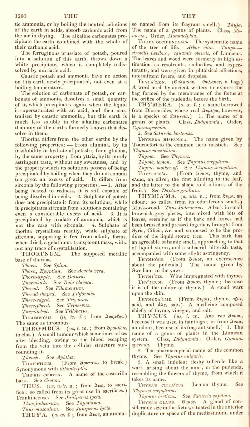 tic ammonia, or by boiling the neutral solutions of the earth in acids, absorb carbonic acid from the air in drying. The alkaline carbonates pre¬ cipitate the earth combined with the whole of their carbonic acid. The ferruginous prussiate of potash, poured into a solution of this earth, throws down a white precipitate, which is completely redis¬ solved by muriatic acid. Caustic potash and ammonia have no action on this earth newly precipitated, not even at a boiling temperature. The solution of carbonate of potash, or car¬ bonate of ammonia, dissolves a small quantity of it, which precipitates again when the liquid is supersaturated with an acid, and then neu¬ tralised by caustic ammonia ; but this earth is much less soluble in the alkaline carbonates than any of the earths formerly known that dis¬ solve in them. Thorina differs from the other earths by the following properties: — From alumina, by its insolubility in hydrate of potash ; from glucina, by the same property ; from yttria, by its purely astringent taste, without any sweetness, and by the property which its solutions possess of being precipitated by boiling when they do not contain too great an excess of acid. It differs from zirconia by the following properties: — 1. After being heated to redness, it is still capable of being dissolved in acids. 2. Sulphate of potash does not precipitate it from its solutions, while it precipitates zirconia from solutions containing even a considerable excess of acid. 3. It is precipitated by oxalate of ammonia, which is not the case with zirconia. 4. Sulphate of thorina crystallises readily, while sulphate of zirconia, supposing it free from alkali, forms, when dried, a gelatinous transparent mass, with¬ out any trace of crystallisation. THORI'NUM. The supposed metallic base of thorina. Thorn. See Spina. Thorn, Egyptian. See Acacia vera. Thorn-apple. See Datura. Thornback. See Itaia clavata. Thread. See Filamentum. Thread-shaped. See Filiformis. Three-edged. See Trigonus. Three-fbred. See Trinervus. Three-lobed. See Trilobatus. Thrombo'sis. (is, is. f. ; from &pop§os.) The same as thrombus. THRO'MBUS. (ms, i. m. ; from Srpop.Gov, to clot.) A small tumour which sometimes arises after bleeding, owing to the blood escaping from the vein into the cellular structure sur¬ rounding it. Thrush. See Aphthce. Thry'fticus. (From SpvftTio, to break.) Synonymous with lithontriptic. Thu'ris co'rtex. A name of the cascarilla bark. See Croton. THUS, (us, uris. n. ; from Sato, to sacri¬ fice : so called from its great use in sacrifices.) Frankincense. See Juniperus hjcia. Thus judeeorum. See 'l'hymiama. Thus masculum. See Juniperus lycia. THUY'A. (a, ce. f.; from S>vov, an aroma; so named from its fragrant smell.) Thuja. The name of a genus of plants. Class, Mo- ncccia; Order, Monadelphia. Thuya occidentalis. The systematic name of the tree of life. Arbor vita:. Thuya — strobilis leevibus; squamis obtusis, of Linnaeus. The leaves and wood were formerly in high es¬ timation as resolvents, sudorifics, and expec¬ torants, and were given in phthisical affections, intermittent fevers, and dropsies. Thyla'cion. (QuAclkiou. &v\auos, a bag.) A word used by ancient writers to express the bag formed by the membranes of the foetus at the orifice of the pudenda, before the birth. THY'MBRA. (a, ce. f. ; a name borrowed from Dioscorides, whose real HrvpSpa, however, is a species of Satureia.) 1. The name of a genus of plants. Class, Didynamia; Order, Gymnospermia. 2. See Satureia hortensis. Thymbra hispanica. The name given by Tournefort to the common herb mastich. See Thymus mastichina. Thyme. See Thymus. Thyme, lemon. See Thymus serpyllum. Thyme, mother of. See Thymus serpyllum. Thymelce'a. (From &vpos, thyme, and eAaia, an olive; the first alluding to the leaf, and the latter to the shape and oiliness of the fruit.) See Daphne gnidium. THYMIA'MA. (a, at is. n.; from dupa, an odour: so called from its odoriferous smell.) Musk-wood. Thus Judeeorum. A bark in small brownish-grey pieces, intermixed with bits of leaves, seeming as if the bark and leaves had been bruised and pressed together, brought from Syria, Cilicia, &c. and supposed to be the pro¬ duce of the liquid storax tree. This bark has an agreeable balsamic smell, approaching to that of liquid storax, and a subacrid bitterish taste, accompanied with some slight astringency. Thymio'sis. (From Svpos, an excrescence about the pudenda.) The name given by Swediaur to the yaws. Thymi'tes. Wine impregnated with thyme. Thy'mium. (From dvpos, thyme ; because it is of the colour of thyme.) A small wart upon the skin. Thymoxa'lme. (From Svgos, thyme, o(vs, acid, and aAs, salt.) A medicine composed chiefly of thyme, vinegar, and salt. TFIY'MUS. (us, i. m. Atro rov &vpov, because it was used in faintings ; or from £>vpa, an odour, because of its fragrant smell.) 1. The name of a genus of plants in the Linntean system. Class, Didynamia; Order, Gymno¬ spermia. Thyme. 2. The pharmacopoeial name of the common thyme. See Thymus vulgaris. 3. A small indolent fleshy tubercle like a wart, arising about the anus, or the pudenda, resembling the flowers of thyme, from which it takes its name. Thymus citra'tus. Lemon thyme. See Thym us serpyllum. Thymus creticus. See Satureia capilata. Thymus gland. ®opos. A gland ol con¬ siderable size in the foetus, situated in the anterior duplicature or space of the mediastinum, under