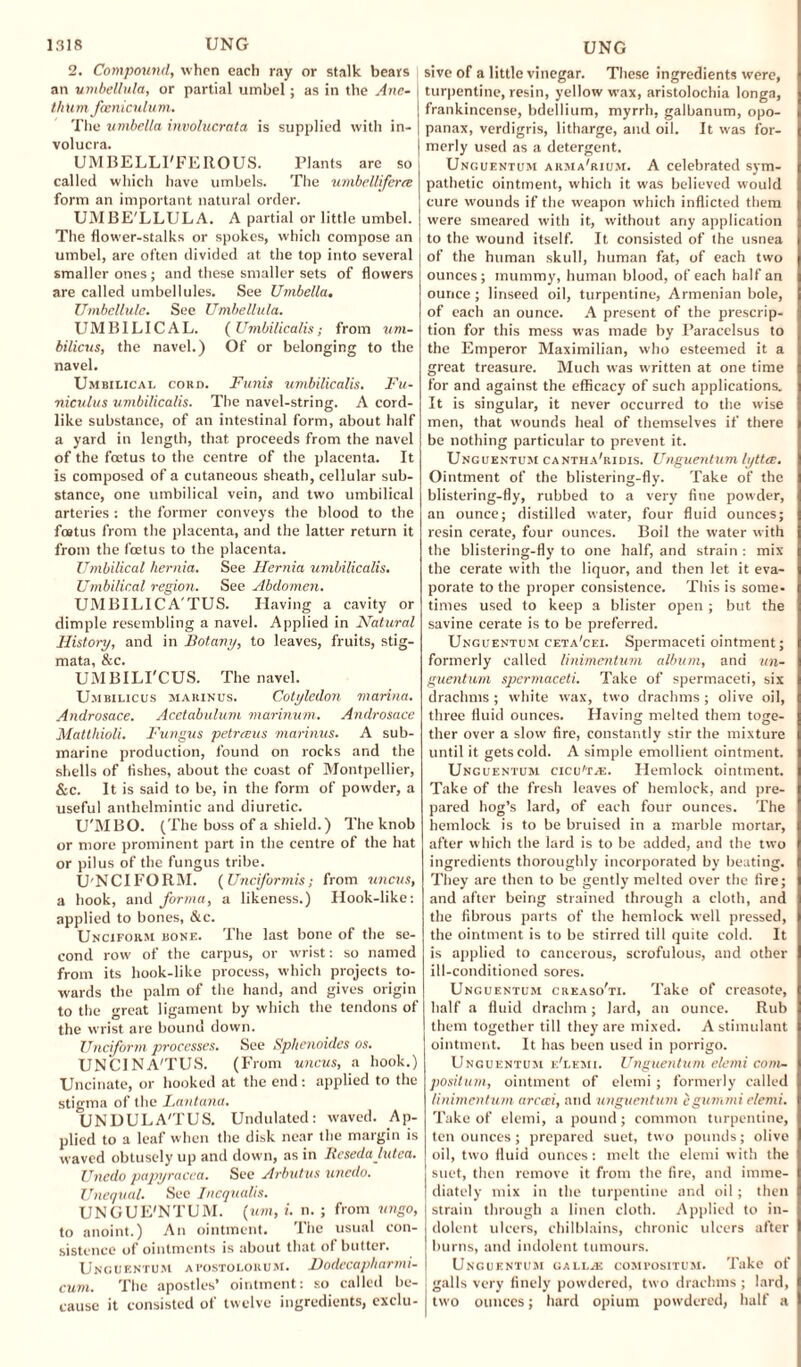 2. Compound, when each ray or stalk bears j an umbellula, or partial umbel; as in the Anc- j thum fwniculum. The umbella involucrata is supplied with in- volucra. UMBELLI'FEROUS. Plants arc so called which have umbels. The umbelliferce form an important natural order. UMBE'LLULA. A partial or little umbel. The flower-stalks or spokes, which compose an umbel, are often divided at the top into several smaller ones; and these smaller sets of flowers are called umbellules. See Umbella. Umbellule. See Umbellula. UMBILICAL. ( Umbilicalis; from um¬ bilicus, the navel.) Of or belonging to the navel. Umbilical cord. Funis umbilicalis. Fu¬ niculus umbilicalis. The navel-string. A cord¬ like substance, of an intestinal form, about half a yard in length, that proceeds from the navel of the foetus to the centre of the placenta. It is composed of a cutaneous sheath, cellular sub¬ stance, one umbilical vein, and two umbilical arteries : the former conveys the blood to the foetus from the placenta, and the latter return it from the foetus to the placenta. Umbilical hernia. See Hernia umbilicalis. Umbilical region. See Abdomen. UMBILICA'TUS. Having a cavity or dimple resembling a navel. Applied in Natural History, and in Botany, to leaves, fruits, stig¬ mata, &c. UMBILI'CUS. The navel. Umbilicus marinus. Cotyledon marina. Androsace. Acetabulum marinum. Androsace Matthioli. Fungus petrceus marinus. A sub¬ marine production, found on rocks and the shells of fishes, about the coast of Montpellier, &c. It is said to be, in the form of powder, a useful anthelmintic and diuretic. U'MBO. (The boss of a shield.) The knob or more prominent part in the centre of the hat or pilus of the fungus tribe. U'NCIFORM. (Unctformis; from uncus, a hook, and forma, a likeness.) Hook-like: applied to bones, &c. Unciform bone. The last bone of the se¬ cond row of the carpus, or wrist: so named from its hook-like process, which projects to¬ wards the palm of the hand, and gives origin to the great ligament by which the tendons of the wrist are bound down. Unciform processes. See Sphenoides os. UNCINA'TUS. (From uncus, a hook.) Uncinate, or hooked at the end: applied to the stigma of the Lantana. UNDULA'TUS. Undulated: waved. Ap¬ plied to a leaf when the disk near the margin is waved obtusely up and down, as in Reseda lutea. Uncdo papyracca. See Arbutus unedo. Unequal. See Inequalis. UNGUE'NTUM. (urn, i. n. ; from ungo, to anoint.) An ointment. The usual con¬ sistence of ointments is about that ot butter. Unguentum ai’ostolorum. Hodecapharmi- cum. The apostles’ ointment: so called be¬ cause it consisted of twelve ingredients, exclu- sive of a little vinegar. These ingredients were, turpentine, resin, yellow wax, aristolochia longa, frankincense, bdellium, myrrh, galbanum, opo- panax, verdigris, litharge, and oil. It was for¬ merly used as a detergent. Unguentum arma'rium. A celebrated sym¬ pathetic ointment, which it was believed would cure wounds if the weapon which inflicted them were smeared with it, without any application to the wound itself. It consisted of the usnea of the human skull, human fat, of each two ounces; mummy, human blood, of each half an ounce; linseed oil, turpentine, Armenian bole, of each an ounce. A present of the prescrip¬ tion for this mess was made by Paracelsus to the Emperor Maximilian, who esteemed it a great treasure. Much was written at one time for and against the efficacy of such applications. It is singular, it never occurred to the wise men, that wounds heal of themselves if there be nothing particular to prevent it. Unguentum cantha'ridis. Unguentum lyttee. Ointment of the blistering-fly. Take of the blistering-fly, rubbed to a very fine powder, an ounce; distilled water, four fluid ounces; resin cerate, four ounces. Boil the water with the blistering-fly to one half, and strain : mix the cerate with the liquor, and then let it eva¬ porate to the proper consistence. This is some¬ times used to keep a blister open; but the savine cerate is to be preferred. Unguentum ceta'cei. Spermaceti ointment; formerly called linimentum album, and un¬ guentum spermaceti. Take of spermaceti, six drachms; white wax, two drachms ; olive oil, three fluid ounces. Having melted them toge¬ ther over a slow fire, constantly stir the mixture until it gets cold. A simple emollient ointment. Unguentum cicu't^e. Hemlock ointment. Take of the fresh leaves of hemlock, and pre¬ pared hog’s lard, of each four ounces. The hemlock is to be bruised in a marble mortar, after which the lard is to be added, and the two ingredients thoroughly incorporated by beating. They are then to be gently melted over the fire; and after being strained through a cloth, and the fibrous parts of the hemlock well pressed, the ointment is to be stirred till quite cold. It is applied to cancerous, scrofulous, and other ill-conditioned sores. Unguentum creaso'ti. Take of creasote, half a fluid drachm; lard, an ounce. Rub them together till they are mixed. A stimulant ointment. It has been used in porrigo. Unguentum e'lemi. Unguentum elemi com¬ post turn, ointment of elemi; formerly called linimentum arccci, and unguentum egumnri elemi. Take of elemi, a pound ; common turpentine, ten ounces ; prepared suet, two pounds; olive oil, two fluid ounces: melt the elemi with the suet, then remove it from the fire, and imme¬ diately mix in the turpentine and oil; then strain through a linen cloth. Applied to in¬ dolent ulcers, chilblains, chronic ulcers after burns, and indolent tumours. Unguentum galljE compositum. Take of galls very finely powdered, two drachms ; lard, I two ounces; hard opium powdered, half a