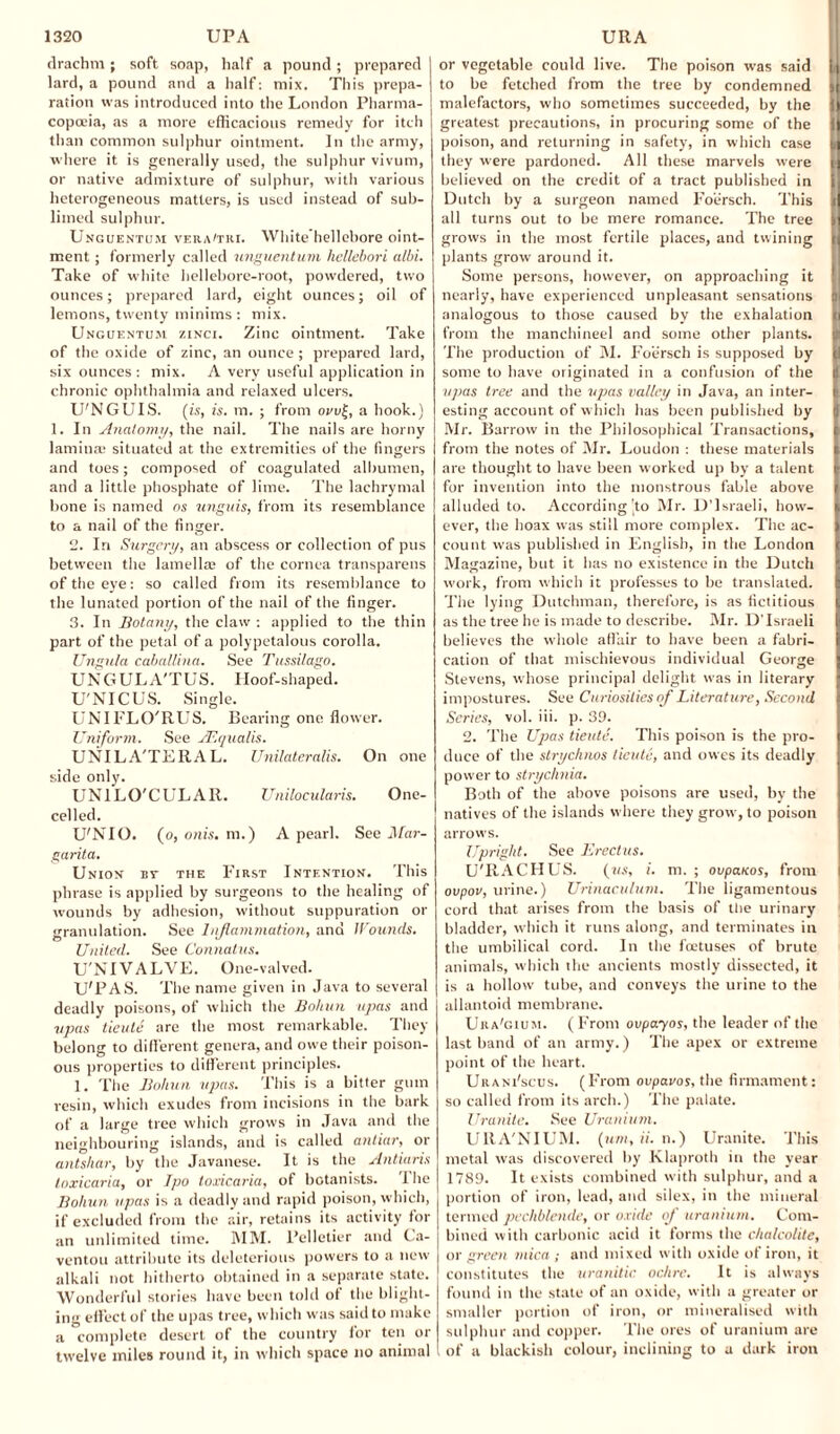 drachm; soft soap, half a pound; prepared lard, a pound and a half: mix. This prepa¬ ration was introduced into the London Pharma¬ copoeia, as a more efficacious remedy for itch than common sulphur ointment. In the army, where it is generally used, the sulphur vivum, or native admixture of sulphur, with various heterogeneous matters, is used instead of sub¬ limed sulphur. Unguentum vera'tri. White hellebore oint¬ ment ; formerly called unguentum hellebori albi. Take of white hellebore-root, powdered, two ounces; prepared lard, eight ounces; oil of lemons, twenty minims : mix. Unguentum zinci. Zinc ointment. Take of the oxide of zinc, an ounce ; prepared lard, six ounces : mix. A very useful application in chronic ophthalmia and relaxed ulcers. U'NGUIS. (is, is. m. ; from ovv(, a hook.) 1. In Anatomy, the nail. The nails are horny lamina: situated at the extremities of the fingers and toes; composed of coagulated albumen, and a little phosphate of lime. The lachrymal bone is named ns unguis, from its resemblance to a nail of the finger. 2. Iri Surgery, an abscess or collection of pus between the lamellae of the cornea transparens of the eye: so called from its resemblance to the lunated portion of the nail of the finger. 3. In Botany, the claw : applied to the thin part of the petal of a polypetalous corolla. Ungula caballina. See Tussilago. UNGULA'TUS. Iloof-shaped. U'NICUS. Single. UNIFLO'RUS. Bearing one flower. Uniform. See JEqualis. UNILATERAL. Unilateralis. On one side only. UNILO'CULAR. Unilocularis. One- celled. U'NIO. (o, onis. m.) A pearl. Sec Mar¬ garita. Union bv the First Intention. This phrase is applied by surgeons to the healing of wounds by adhesion, without suppuration or granulation. See Inflammation, and Wounds. United. See Connatus. U'NIVALVE. One-valved. U'PAS. The name given in Java to several deadly poisons, of which the Bohun upas and upas tieutc are the most remarkable. They belong to different genera, and owe their poison¬ ous properties to different principles. 1. The Bohun upas. This is a bitter gum resin, which exudes from incisions in the bark of a large tree which grows in Java and the neighbouring islands, and is called antiar, or antshar, by the Javanese. It is the Antiaris toxicaria, or Jpo toxicaria, of botanists. '1 he Bohun upas is a deadly and rapid poison, which, if excluded from the air, retains its activity for an unlimited time. MM. l’elletier and Ca- ventou attribute its deleterious powers to a new alkali not hitherto obtained in a separate state. Wonderful stories have been told of the blight¬ ing effect of the upas tree, which was said to make a complete desert of the country for ten or twelve miles round it, in which space no animal or vegetable could live. The poison was said i to be fetched from the tree by condemned i| malefactors, who sometimes succeeded, by the II greatest precautions, in procuring some of the II poison, and returning in safety, in which case U they were pardoned. All these marvels were H believed on the credit of a tract published in Dutch by a surgeon named Foersch. This ! all turns out to be mere romance. The tree ! grows in the most fertile places, and twining plants grow around it. Some persons, however, on approaching it ! nearly, have experienced unpleasant sensations a analogous to those caused by the exhalation from the manchineel and some other plants. The production of M. Foersch is supposed by some to have originated in a confusion of the A upas tree and the upas valley in Java, an inter- t esting account of which has been published by ti Mr. Barrow in the Philosophical Transactions, l from the notes of Mr. Loudon : these materials I are thought to have been worked up by a talent > for invention into the monstrous fable above I alluded to. According to Mr. D’lsraeli, how¬ ever, the hoax was still more complex. The ac- I count was published in English, in the London Magazine, but it has no existence in the Dutch work, from which it professes to be translated. The lying Dutchman, therefore, is as fictitious I as the tree he is made to describe. Mr. D’lsraeli believes the whole affair to have been a fabri- j cation of that mischievous individual George Stevens, whose principal delight was in literary impostures. See Curiosities of Literature, Second Series, vol. iii. p. 39. 2. The Upas tieute. This poison is the pro¬ duce of the strychnos tieutc, and owes its deadly power to strychnia. Both of the above poisons are used, by the natives of the islands where they grow, to poison arrows. Upright. See Erectus. U'RACHUS. (us, i. m. ; ovpaKos, from ovpov, urine.) Urinaculum. The ligamentous cord that arises from the basis of the urinary bladder, which it runs along, and terminates in the umbilical cord. In the foetuses of brute animals, which the ancients mostly dissected, it is a hollow tube, and conveys the urine to the allantoid membrane. Ura'gium. (From ovpayos, the leader of the last band of an army.) The apex or extreme point of the heart. Urani'scus. (From ovpavos, the firmament: so called from its arch.) The palate. Uranite. See Uranium. URA'NIUM. (um, ii. n.) Uranite. This metal was discovered by Klaproth in the year 1789. It exists combined with sulphur, and a portion of iron, lead, and silex, in the mineral termed pechblende, or oxide of uranium. Com¬ bined with carbonic acid it forms the chalcolite, or green mica ; and mixed with oxide of iron, it constitutes the uranitic ochre. It is always found in the state of an oxide, with a greater or smaller portion of iron, or mineralised with sulphur and copper. The ores of uranium are of a blackish colour, inclining to a dark iron