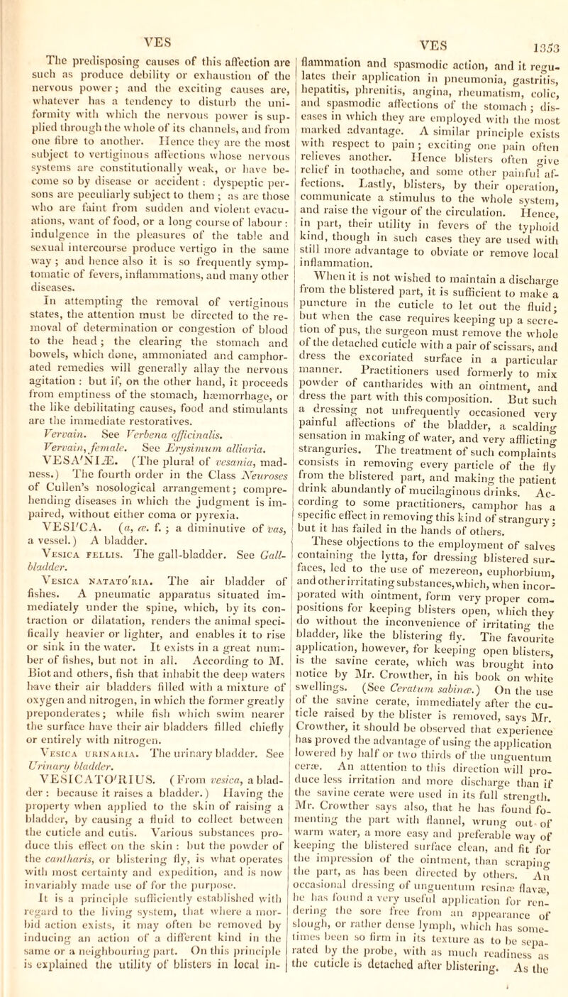 1.153 VES The predisposing causes of this affection are such as produce debility or exhaustion of the I nervous power; and the exciting causes are, | whatever has a tendency to disturb the uni- ! fortuity with which the nervous power is sup¬ plied through the whole of its channels, and from ) one fibre to another. Hence they are the most j subject to vertiginous affections whose nervous | systems are constitutionally weak, or have be- [ come so by disease or accident: dyspeptic per- j sons are peculiarly subject to them ; as are those I who are faint from sudden and violent evacu- j ations, want of food, or a long course of labour : indul gence in the pleasures of the table and sexual intercourse produce vertigo in the same j way ; and hence also it is so frequently symp- tomatic of fevers, inflammations, and many other ! diseases. In attempting the removal of vertiginous [ states, the attention must be directed to the re- I moval of determination or congestion of blood { to the head; the clearing the stomach and bowels, which done, ammoniated and camphor- a ted remedies will generally allay the nervous j agitation : but if, on the other hand, it proceeds from emptiness of the stomach, hremorrhage, or the like debilitating causes, food and stimulants are the immediate restoratives. Vervain. See Verbena officinalis. Vervain, female. See Erysimum alliaria. VESA'NIiE. (The plural of vesania, mad¬ ness.) The fourth order in the Class Neuroses of Cullen’s nosological arrangement; compre¬ hending diseases in which the judgment is im¬ paired, without either coma or pyrexia. VESI'CA. (a, re. f. ; a diminutive of vas, a vessel.) A bladder. Vesica fellis. The gall-bladder. See Gall¬ bladder. Vesica natato’ria. The air bladder of fishes. A pneumatic apparatus situated im¬ mediately under the spine, which, by its con¬ traction or dilatation, renders the animal speci¬ fically heavier or lighter, and enables it to rise or sink in the water. It exists in a great num¬ ber of fishes, but not in all. According to M. Biot and others, fish that inhabit the deep waters have their air bladders filled with a mixture of oxygen and nitrogen, in which the former greatly preponderates; while fish which swim nearer the surface have their air bladders filled chiefly or entirely with nitrogen. Vesica urinaria. The urinary bladder. See Urinary bladder. VESICATO'RI US. (From vesica, a blad¬ der : because it raises a bladder.) Having the property when applied to the skin of raising a bladder, by causing a fluid to collect between the cuticle and cutis. Various substances pro¬ duce this effect on the skin : but the powder of the canlharis, or blistering fly, is what operates with most certainty and expedition, and is now invariably made use of for the purpose. It is a principle sufficiently established with regard to the living system, that where a mor¬ bid action exists, it may often be removed by inducing an action of a different kind in the same or a neighbouring part. On this principle is explained the utility of blisters in local in- VES flammntion and spasmodic action, and it regu¬ lates their application in pneumonia, gastritis, hepatitis, phrenitis, angina, rheumatism, colic, and spasmodic affections of the stomach ; dis¬ eases in which they are employed with the most marked advantage. A similar principle exists w ith respect to pain; exciting one pain often relieves another. Hence blisters often give relief in toothache, and some other painful af- fections. Eastly, blisters, by their operation, communicate a stimulus to the whole system* and raise the vigour of the circulation. Hence, in part, their utility in fevers of the typhoid kind, though in such cases they are used with still more advantage to obviate or remove local inflammation. When it is not wished to maintain a discharge from the blistered part, it is sufficient to make a puncture in the cuticle to let out the fluid; but w'hen the case requires keeping up a secre¬ tion of pus, the surgeon must remove the whole of the detached cuticle with a pair of scissars, and j dress the excoriated surface in a particular j manner. Practitioners used formerly to mix powder of cantharides with an ointment, and dress the part with this composition. But such a dressing not unfrequently occasioned very painful affections of the bladder, a scalding sensation in making of w’ater, and very afflicting j stranguries. The treatment of such complaints J consists in removing every particle of the fly from the blistered part, and making the patient j drink abundantly of mucilaginous drinks. Ac- , cording to some practitioners, camphor has a j specific effect in removing this kind of strangury • ; but it has failed in the hands of others. ; These objections to the employment of salves containing the lytta, for dressing blistered sur- [ faces, led to the use of mezereon, euphorbium, and other irritating substances, which, when incor- I porated with ointment, form very proper com¬ positions for keeping blisters open, which they i do without the inconvenience of irritatino- the j bladder, like the blistering fly. The favourite j application, however, for keeping open blisters, is the savlne cerate, which was brought into [ notice by Mr. Crowther, in his book on white swellings. (See Ceratum sabineu.) On the use j of the savine cerate, immediately after the cu¬ ticle raised by the blister is removed, says Mr. j Crowther, it should be observed that experience lias proved the advantage of using the application lowered by half or two thirds of the unguentum cerw. An attention to this direction will pro¬ duce less irritation and more discharge than if the savine cerate were used in its full strength. Mr. Crowther says also, that he has found^fol menting the part with flannel, wrung out of warm water, a more easy and preferable way of keeping the blistered surface clean, and fit for the impression of the ointment, than scraping the part, as has been directed by others. An occasional dressing of unguentum resinre flavte, he has found a very useful application for ren¬ dering the sore free from an appearance of slough, or rather dense lymph, which has some¬ times been so firm in its texture as to be sepa¬ rated by the probe, with as much readiness as the cuticle is detached alter blistering. As the