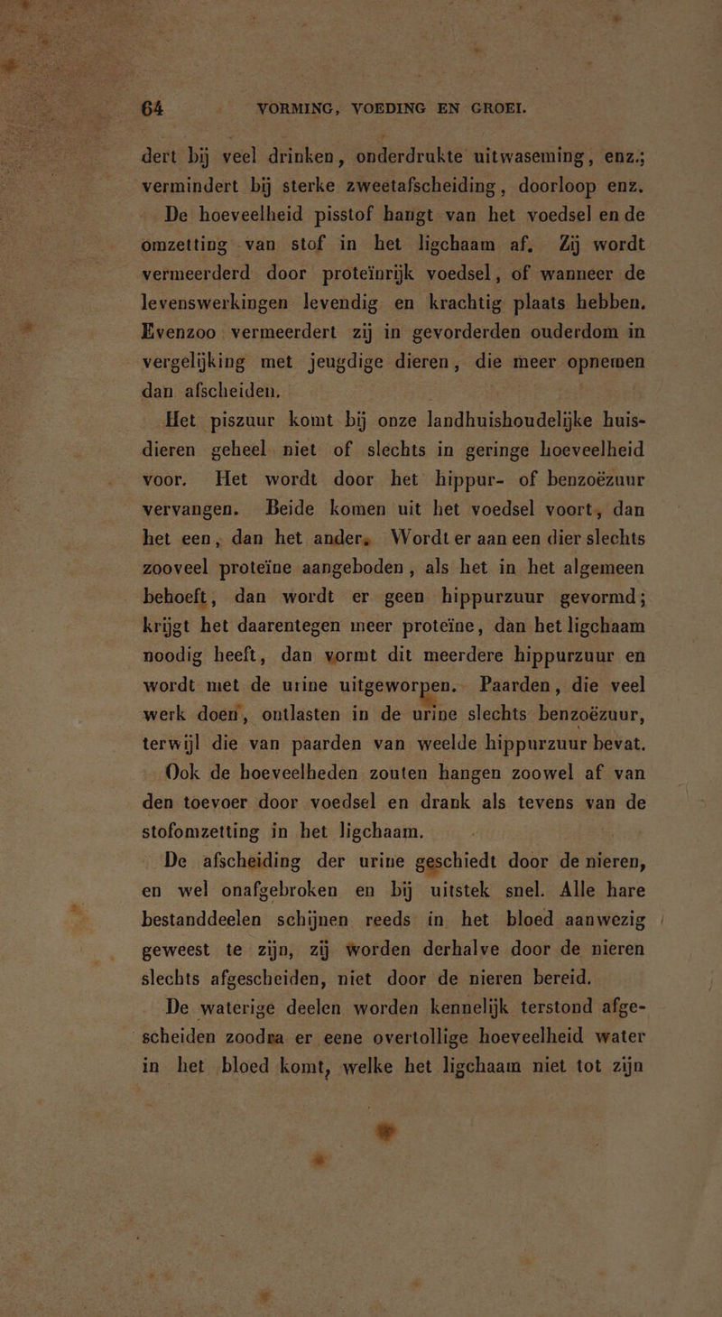 dert bij veel drinken, onderdrukte uitwaseming, enz; vermindert bij sterke zweetafscheiding, doorloop enz. De hoeveelheid pisstof haugt van het voedsel en de omzetting van stof in het ligchaam af. Zij wordt vermeerderd door proteïnrijk voedsel, of wanneer de levenswerkingen levendig en krachtig plaats hebben. Evenzoo vermeerdert zij in gevorderden ouderdom in vergelijking met jeugdige dieren, die meer opnemen dan afscheiden. | Het piszuur komt bij onze lallende huis- dieren geheel. niet of slechts in geringe hoeveelheid voor, Het wordt door het hippur- of benzoëzuur vervangen. Beide komen uit het voedsel voort, dan het een, dan het anders Wordt er aan een dier slechts zooveel proteïne aangeboden, als het in het algemeen behoeft, dan wordt er geen hippurzuur gevormd; krijgt het daarentegen meer proteïne, dan het ligchaam noodig heeft, dan vormt dit meerdere hippurzuur en wordt met de urine uitgeworpen. Paarden, die veel werk doen, ontlasten in de urine slechts benzoëzuur, terwijl die van paarden van weelde hippurzuur bevat. Ook de hoeveelheden zouten hangen zoowel af van den toevoer door voedsel en drank als tevens van de stofomzetting in het ligchaam. De afscheiding der urine geschiedt door ie nieren, en wel onafgebroken en bij uitstek snel. Alle hare bestanddeelen schijnen reeds in het bloed aanwezig geweest te zijn, zij Worden derhalve door de nieren slechts afgescheiden, niet door de nieren bereid. De waterige deelen worden kennelijk terstond afge- scheiden zoodra er eene overtollige hoeveelheid water in het bloed komt, welke het ligchaam niet tot zijn ”