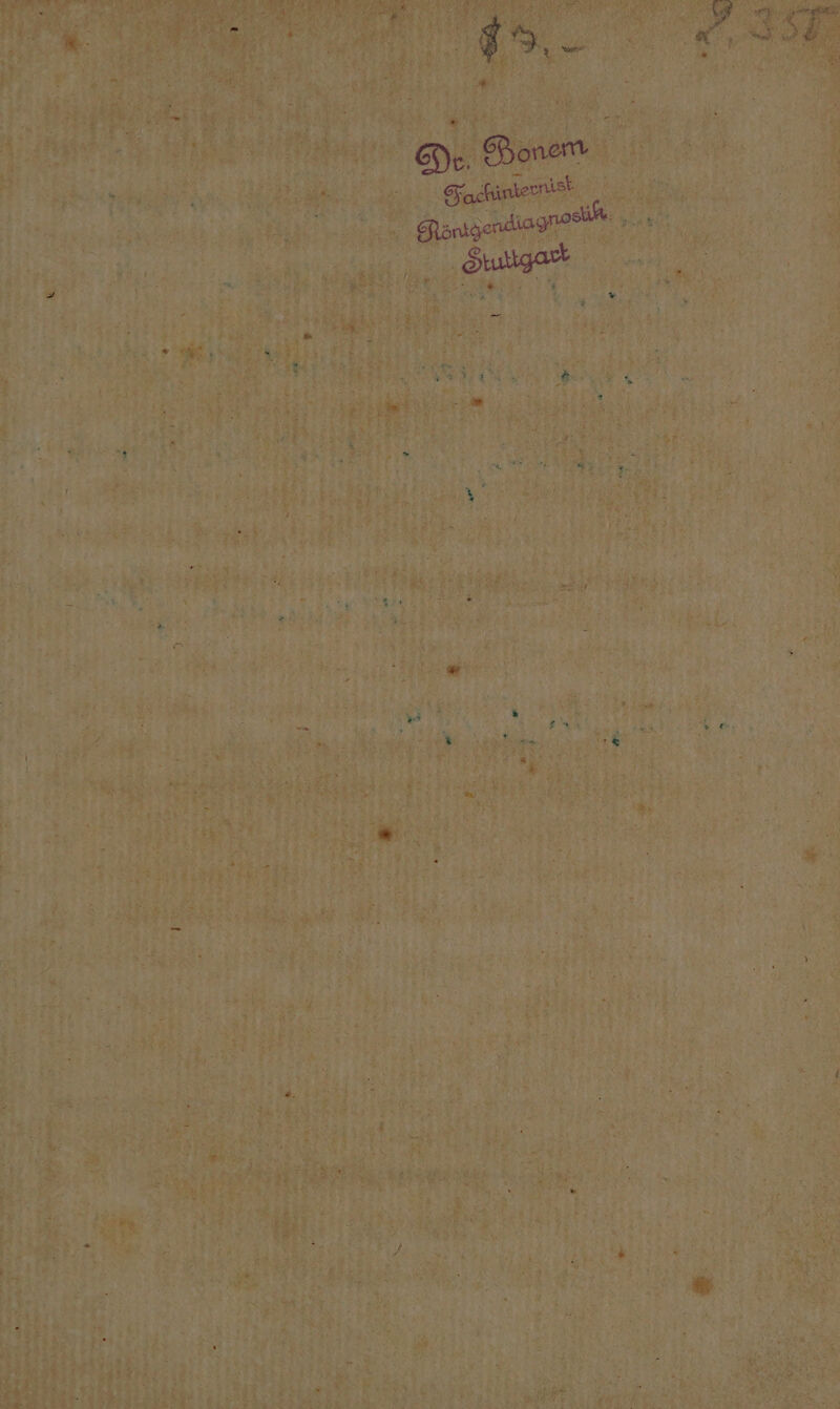 Ya er Er r ee ne \ N: