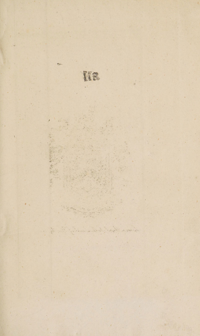 * 4° , a a, is ; ie Se ee a a Mee ze : = oS