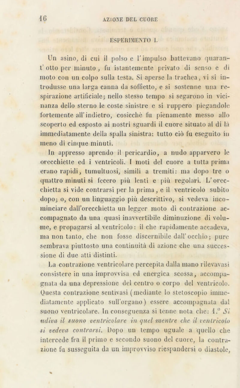 ESPERIMENTO I. Un asino,, di cui il polso c l'impulso battevano quaran- t otto per minuto , fu istantemente privato di senso e di moto con un colpo sulla testa. Si aperse la trachea, vi si in- trodusse una larga canna da soffietto, e si sostenne una re- spirazione artificiale; nello stesso tempo si segarono in vici- nanza dello sterno le coste sinistre e si ruppero piegandole fortemente all’indietro, cosicché fu pienamente messo allo scoperto ed esposto ai nostri sguardi il cuore situato al di là immediatamente della spalla sinistra: tutto ciò fu eseguito in meno di cinque minuti. In appresso aprendo il pericardio, a nudo apparvero le orecchiette ed i ventricoli. I moti del cuore a tutta prima erano rapidi, tumultuosi, simili a tremiti: ma dopo tre o quattro minuti si fecero più lenti e più regolari. L'orec- chietta si vide contrarsi per la prima, e il ventricolo subito dopo; o, con un linguaggio più descrittivo, si vedeva inco- minciare dall’orecchietta un legger moto di contrazione ac- compagnato da una quasi inavvertibile diminuzione di volu- me, e propagarsi al ventricolo: il che rapidamente accadeva, ma non tanto, che non fosse discernibile dall’occhio; pure sembrava piuttosto una continuità di azione che una succes- sione di due atti distinti. La contrazione ventricolare percepita dalla mano rilcvavasi consistere in una improvvisa ed energica scossa, accompa- gnata da una depressione del centro o corpo del ventricolo. Onesta contrazione sentivasi (mediante lo stetoscopio imme- diatamente applicato sull’organo) essere accompagnata dal suono ventricolare. Inconseguenza si tenne nota che: 4.° Si fidimi il suono ventricolare in quel mentre che il ventricoli/ si vedeva' contrarsi. Dopo un tempo uguale a quello che intercede fra il primo e secondo suono del cuore, la contra- zione fu susseguita da un improvviso riespandersi o diastole,