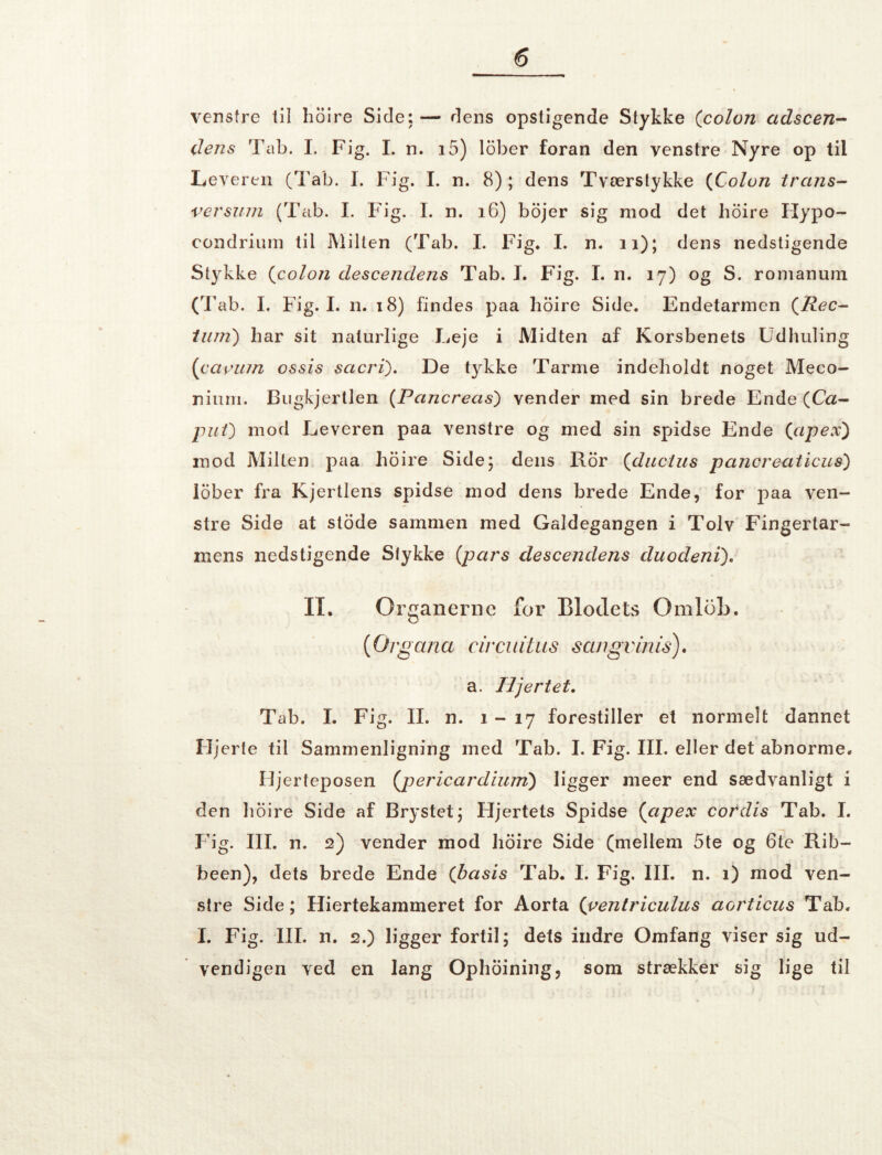 venstre til holre Side:— dens opstigende Stykke (colon adscen-^ dens Tab. I. Fig. L n. i5) lober foran den venstre Nyre op til Leveren (Tab. I. Fig. I. n. 8) ; dens Tværslykke {Colun trans-- ver sum (Tab. I. Fig. 1. n. i6) bojer sig mod det hoire Hypo- condrium til Milten (Tab. I. Fig. I. n. ii); dens nedstigende Stykke {colon descendens Tab. I. Fig. I. n. 17) og S. romanuni (Tab. I. Fig. I. n. 18) findes paa libire Side. Endetarmen {Rec- iiim') har sit naturlige Leje i Midten af Korsbenets Udhuling {carum ossis sacri). De tykke Tarme indeholdt noget Meco- niiini. Bugkjertlen {Pancreas') vender med sin brede Ende (Ca- pui') mod Leveren paa venstre og med sin spidse Ende {apex) mod Milten paa hoire Side; dens Ror {ducius pancreaticus) ibber fra Kjortlens spidse mod dens brede Ende, for j)aa ven¬ stre Side at stode sammen med Galdegangen i Tolv Fingertar¬ mens nedstigende Stykke {pars descendens duodeni), II. Organerne for Blodets OmloL. {Orgaria circiiitus scuigvinis)* a. Hjertet, Tab. L Fig. II. n. 1-17 forestiller et normelt dannet Hjerte til Sammenligning med Tab. I. Fig. III. eller det abnorme. Iljerteposen (^pericardium') ligger meer end sædvanligt i den lioire Side af Brystet; Hjertets Spidse {apex cordis Tab. 1. Fig. III. n. 2) vender mod hoire Side (mellem 5te og 6te Rib- been), dets brede Ende {basis Tab. I. Fig. III. n. 1) mod ven¬ stre Side; Hiertekammeret for Aorta {ventriculus aorticus Tab. I. Fig. III. n. 2.) ligger fortil; dets indre Omfang viser sig ud- vendigen ved en lang Ophoining, som strækker sig lige til