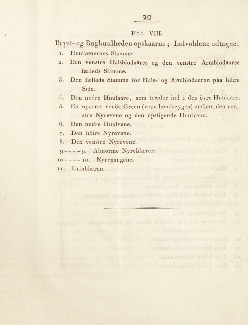 ao Fig. yiil Bryst-og Bagliuiilhecleii opskaarnc ; Indvoldene udtagne. 1. Huulven er nes Stamme. 2. Den venstre Halsblodaares og den venstre Armblodaares fælleds Stamme. 5. Den fælleds Stamme for Hals- og Armblodaaren paa lioire '• Side. 4. Den nedre Huulaare, som træder ind i den ovre Huulaare. 5. En uparret venos .Green (vena liemiazygea) mellem den ven¬ stre Nyrevene og den opstigende Huulvene. 6. Den nedre Huulvene, 7. Den hoire Nyrevene. 8. Den venstre Nyrevene. 9-9. Abnorme Nyreblærer. 10-10. Nyregangene,