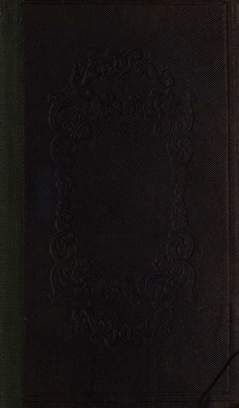 a Hey ft ¢ ras) See at BANS . _ st i mere ae “< Peak eta Oat tea 5 * Sete me ee pints Bay 1 nitive st) ade iy