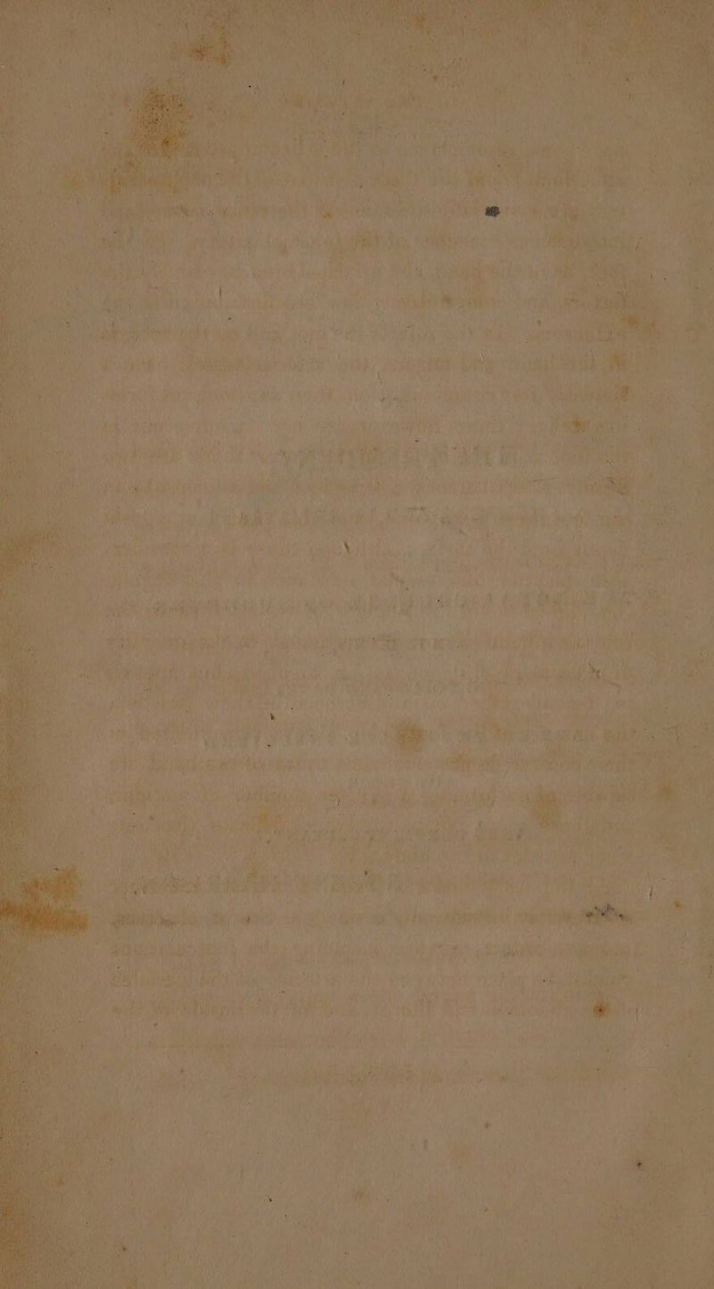 ne Be (sity! bet diyerny ied: ite ie ‘git