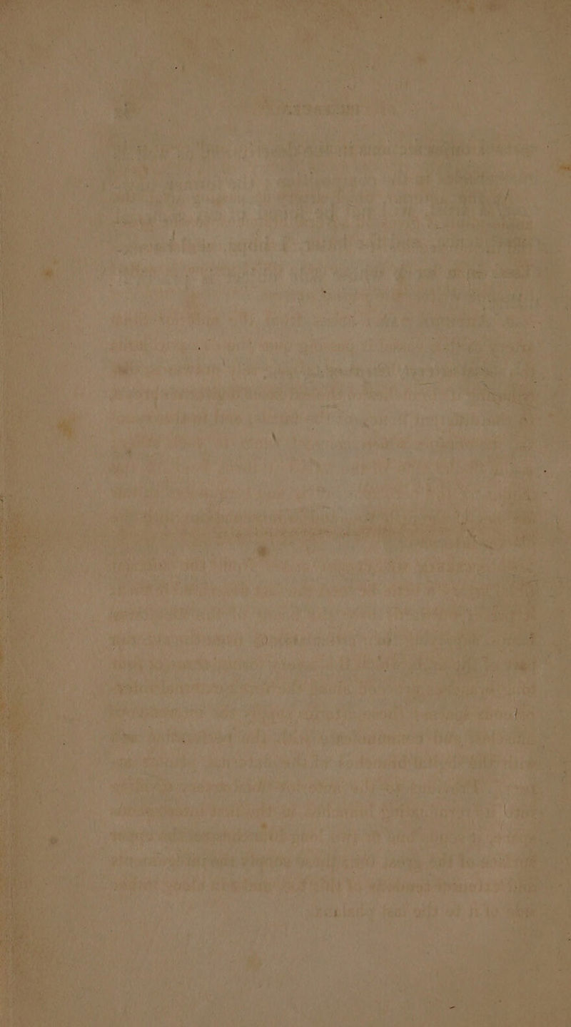 en '% ; EELS VD gk? ok fay Tha OB) AL j ae wee edt ts x resis i a a