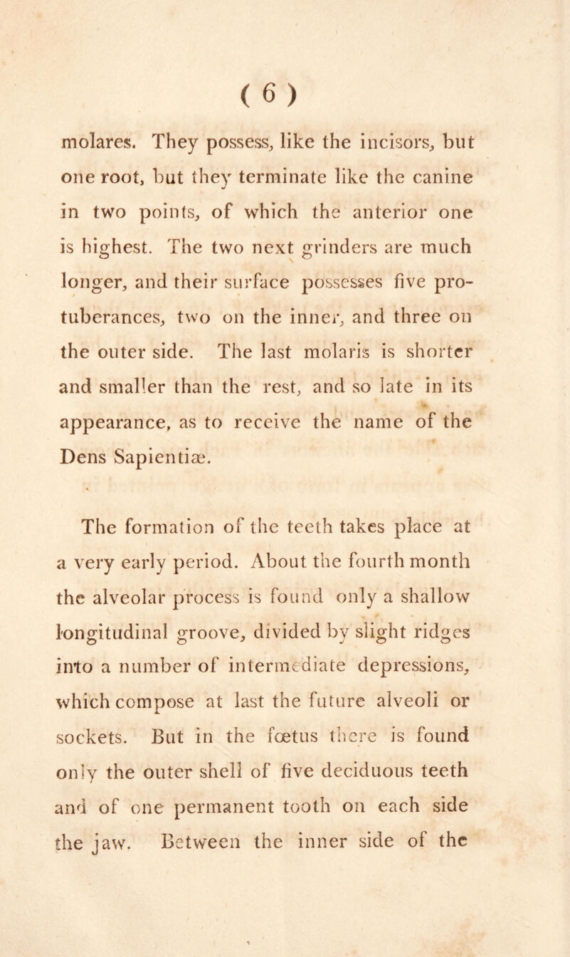 molares. They possess, like the incisors, but one root, but they terminate like the canine •/ in two points, of which the anterior one is highest. The two next grinders are much longer, and their surface possesses five pro- tuberances, two on the inner, and three on the outer side. The last molaris is shorter and smaller than the rest, and so late in its appearance, as to receive the name of the Dens Sapientice. % The formation of the teeth takes place at a very early period. About the fourth month the alveolar process is found only a shallow longitudinal groove, divided by slight ridges into a number of intermediate depressions, which compose at last the future alveoli or sockets. But in the foetus there is found only the outer shell of five deciduous teeth and of one permanent tooth on each side the jaw. Between the inner side of the