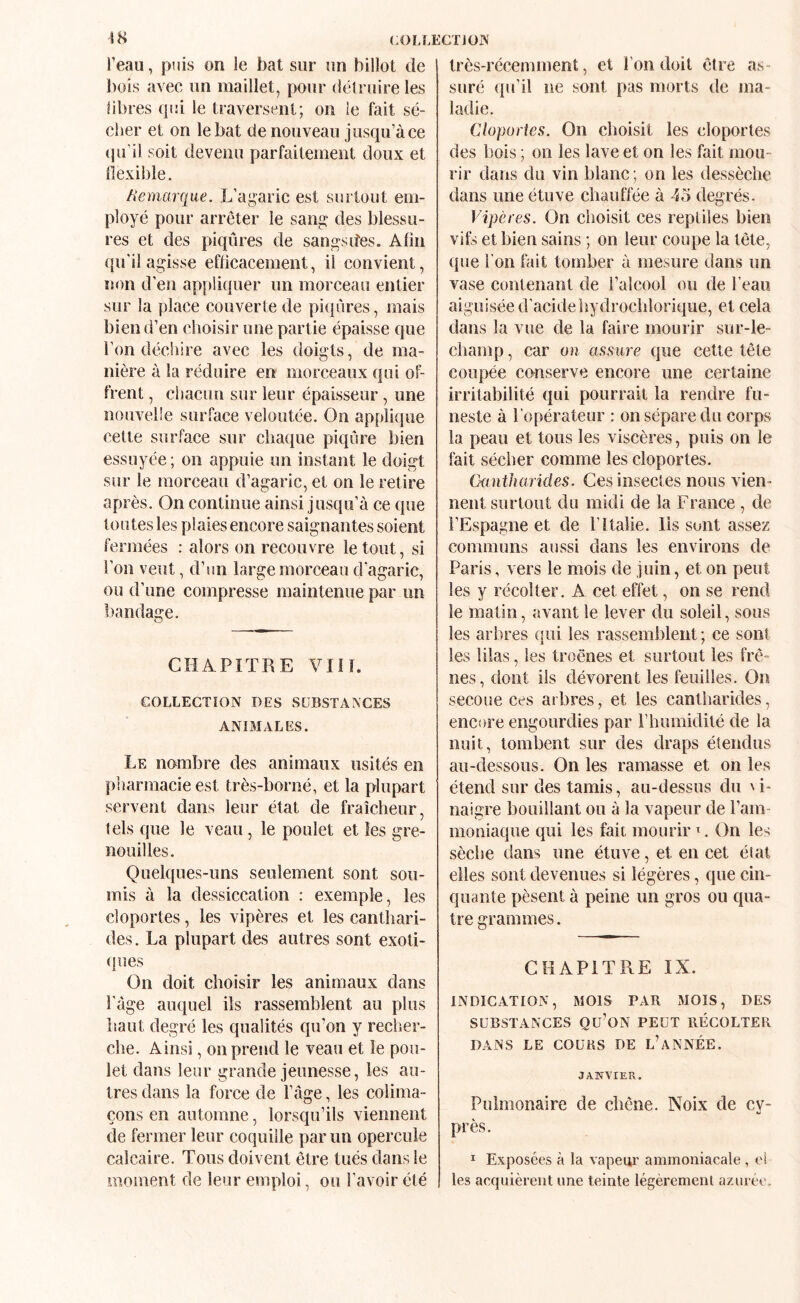 COLLECTJOrs' l’eau, puis on le bat sur un billot de bois avec un maillet, pour délruire les libres qui le traversent; on le fait sé¬ cher et on le bat de nouveau jusqu’à ce (ju’il soit devenu parfaitement doux et flexible. /iemarque. L’agaric est surtout em¬ ployé pour arrêter le sang: des blessu¬ res et des piqûres de sangs des. Afin qu'il agisse eflicacement, il convient, non d’en ap[)liquer un morceau entier sur la place couverte de piqûres, mais bien d’en choisir une partie épaisse que l’on déchire avec les doigts, de ma¬ nière à la réduire en morceaux qui of¬ frent , chacun sur leur épaisseur, une nouvelle surface veloutée. On applique cette surface sur chaque piqûre bien essuyée; on appuie un instant le doigt sur le morceau d’agaric, et on le retire après. On continue ainsi jusqu’à ce que toutes les plaies encore saignantes soient fermées : alors on recouvre le tout, si l’on veut, d’un large morceau d'agaric, ou d’une compresse maintenue par un bandage. O CHAPITRE VIH. COLLECTION DES SCBSTANCES ANIMALES. Le nombre des animaux usités en pharmacie est très-borné, et la plupart servent dans leur état de fraîcheur, tels que le veau, le poulet et les gre¬ nouilles. Quelques-uns seulement sont sou¬ mis à la dessiccation : exemple, les cloportes, les vipères et les canthari¬ des . La plupart des autres sont exoti¬ ques On doit choisir les animaux dans l’àge auquel ils rassemblent au plus haut degré les qualités qu’on y recher¬ che. Ainsi, on prend le veau et le pou¬ let dans leur grande jeunesse, les au¬ tres dans la force de l’âge, les colima¬ çons en automne, lorsqu’ils viennent de fermer leur coquille par un opercule calcaire. Tous doivent être tués dans le moment de leur emploi, ou l’avoir été très-récemment, et l’on doit être as¬ suré qu’il ne sont pas morts de ma¬ ladie. Cloportes. On choisit les cloportes des bois ; on les lave et on les fait mou¬ rir dans du vin blanc ; on les dessèche dans une étuve chauffée à 45 degrés. Vipères. On choisit ces reptiles bien vifs et bien sains ; on leur coupe la tête, que l'on fait tomber à mesure dans un vase contenant de l’alcool ou de l’eau aiguisée d’acidehydroclilorique, et cela dans la vue de la faire mourir sur-le- champ , car on assure que cette tête coupée cDuserve encore une certaine irritabilité qui pourrait la rendre fu¬ neste à l’opérateur : on sépare du corps la peau et tous les viscères, puis on le làit sécher comme les cloportes. Cantharides. Ces insectes nous vien¬ nent surtout du midi de la France , de l’Espagne et de F Italie, lis sont assez communs aussi dans les environs de Paris, vers le mois de juin, et on peut les y récolter. A cet effet, on se rend le matin, avant le lever du soleil, sous les arbres qui les rassemblent ; ce sont les lilas, les troènes et surtout les frê¬ nes, dont iis dévorent les feuilles. On secoue ces arbres, et les cantharides, encore engourdies par l’humidité de la nuit, tombent sur des draps étendus au-dessous. On les ramasse et on les étend sur des tamis, au-dessus du \V naigre bouillant ou à la vapeur de l’am¬ moniaque qui les fait mourir ^. On les sèche dans une étuve, et en cet état elles sont devenues si légères, que cin¬ quante pèsent à peine un gros ou qua¬ tre grammes. CHAPITRE IX. INDICATION, MOIS PAR MOIS, DES SUBSTANCES Qü’ON PEUT RECOLTER DANS LE COURS DE l’aNNÉE. JANVIER. Pulmonaire de chêne. Noix de cy¬ près. ï Exposées à la vapeur ammoniacale , ei les acquièrent une teinte légèrement azurée.