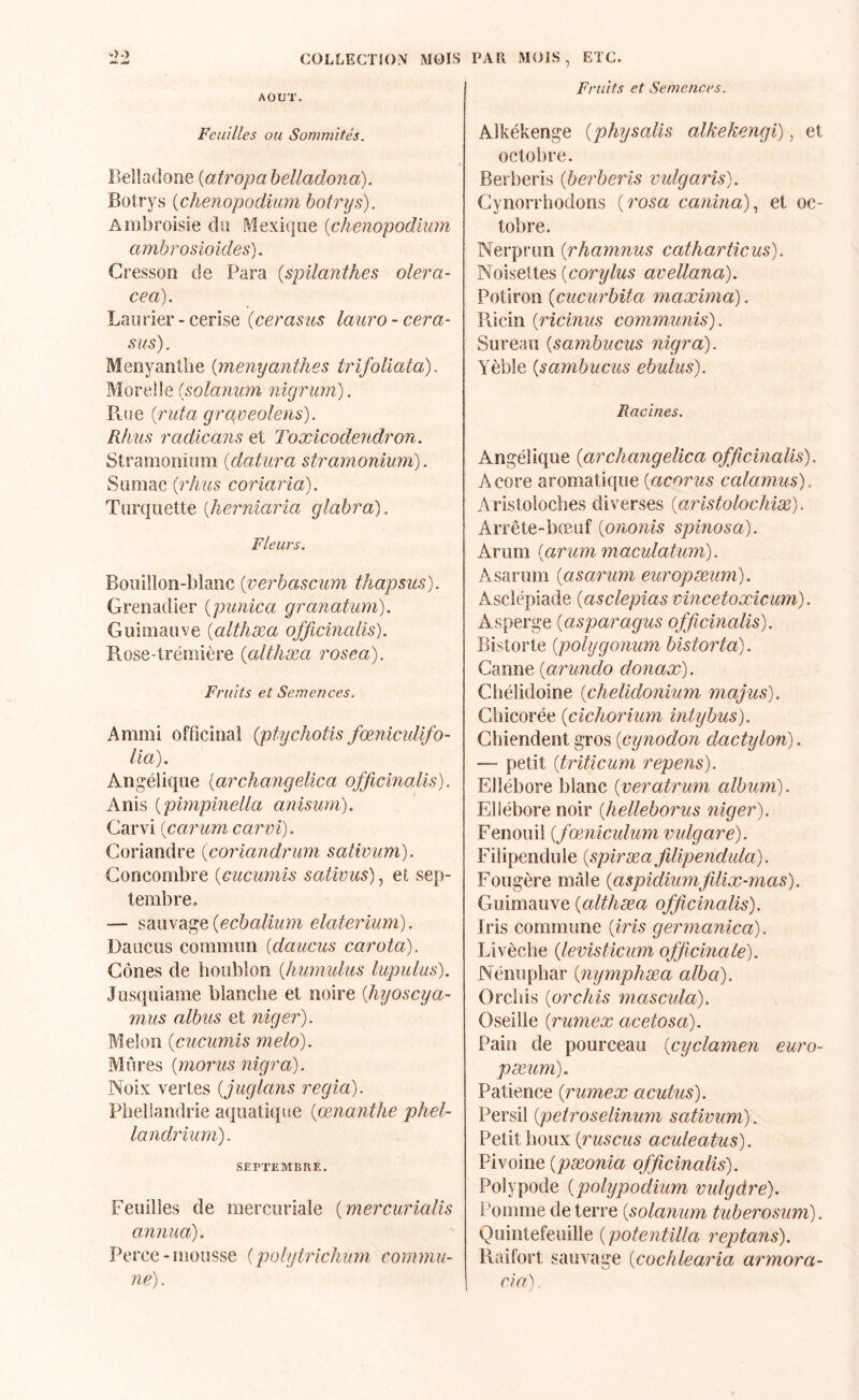 COLLECTÎON MOIS AOUT. Feuilles ou Sommités. Belladone {atropa helladona). Botrys {chenopodium botnjs). Ambroisie dn Mexique {chenopodlum amhrosioides). Cresson de Para {spilanthes olera- cea). Laurier-cerise (cerasus lauro-cera- sus). Menyanthe {menyanthes trifoliata), Moreüe (solanum nigrum). Rue {rida grqveolens). Rfms radicans et Toxicodendron. Stramonium {da.tura stramonium). vSumac {rhus coriarîa). Turquette [herniaria glabra). Fleurs. Bouillon-blanc {verbascum thapsus). Grenadier {punica granatum). Guimauve {althxa officinalis). Rose-trémière {althæa rosea). Fruits et Semences. Ammi officinal {ptychotis fœnicidifo- lia). Angélique [archangelica officinalis). Anis {pimpinella anisum). Carvi {carum carvi). Coriandre {coriandrum sativum). Concombre {cucumis sativus), et sep¬ tembre, — sauvage elaterium). Daucus commun {daucus carota). Cônes de houblon {humulus lupulus). Jusquiame blanche et noire (hyoscya- mus albiis et niger). Melon {cucumis melo). Mûres {morus nigra). Noix vertes {juglans régla). Phellandrie aquatique {œnanthe phel- landrium). SEPTEMBRE. Feuilles de mercuriale {mercurialis annua). Perce-mousse {polyirichum commu¬ ne) . PAR MOIS, ETC. Fruits et Semences. Alkékenge {physalis alkekengi), et octobre. Berberis {berberis vulgaris). Cynorrhodons {rosa canina)., et oc¬ tobre. Nerprun {rhamnus catharticus). Noisettes {cor y lus avellana). Potiron {cucurbita maxima). Piicin {ricinus commuais). Sureau {sambucus nigra). Yèble {sambucus ebulus). Racines. Angélique {archangelica officinalis). Acore aromatique {acorus calamus). Aristoloches diverses {aristolochiæ). Arrête-bœuf {ononis spinosa). Arum {arum maculatum). Asarum {asarum europæum). Ascîépiade {asclepias vincetoxicum). Asperge {asparagus officinalis). Bistorte {polygonum bistorta). Canne {arundo donax). Chélidoine {chelldonium majus). Chicorée {cichorium iniybus). Chiendent gros {cynodon dactylon). — petit {triticum repens). Ellébore blanc {veratrum album). Ellébore noir {helleborus niger). Fenouil {fœniculum vulgare). Filipendule {spiræa filipendida). Fougère mâle {aspidiumfilix-mas). Guimauve {althæa officinalis). Iris commune {iris germanica). Livèche {levisticum officinale). Nénuphar {nymphæa alba). Orcliis {orchis mascula). Oseille {rumex acetosa). Pain de pourceau {cyclamen euro¬ pæum). Patience {rumex acutus). Persil {petroselinum sativum). Petit houx {ruscus aculeatus). Pivoine {pæonia officinalis). Polypode {polypodium vidgdre). i'omme de terre {solanum tuberosum). Quintefeuille {potentilla reptans). Raifort sauvage {cochlearia armora- cia)