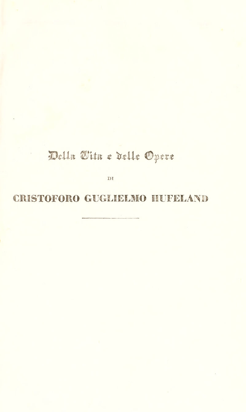 DI CRISTOFORO GUGLIELMO HUFEL